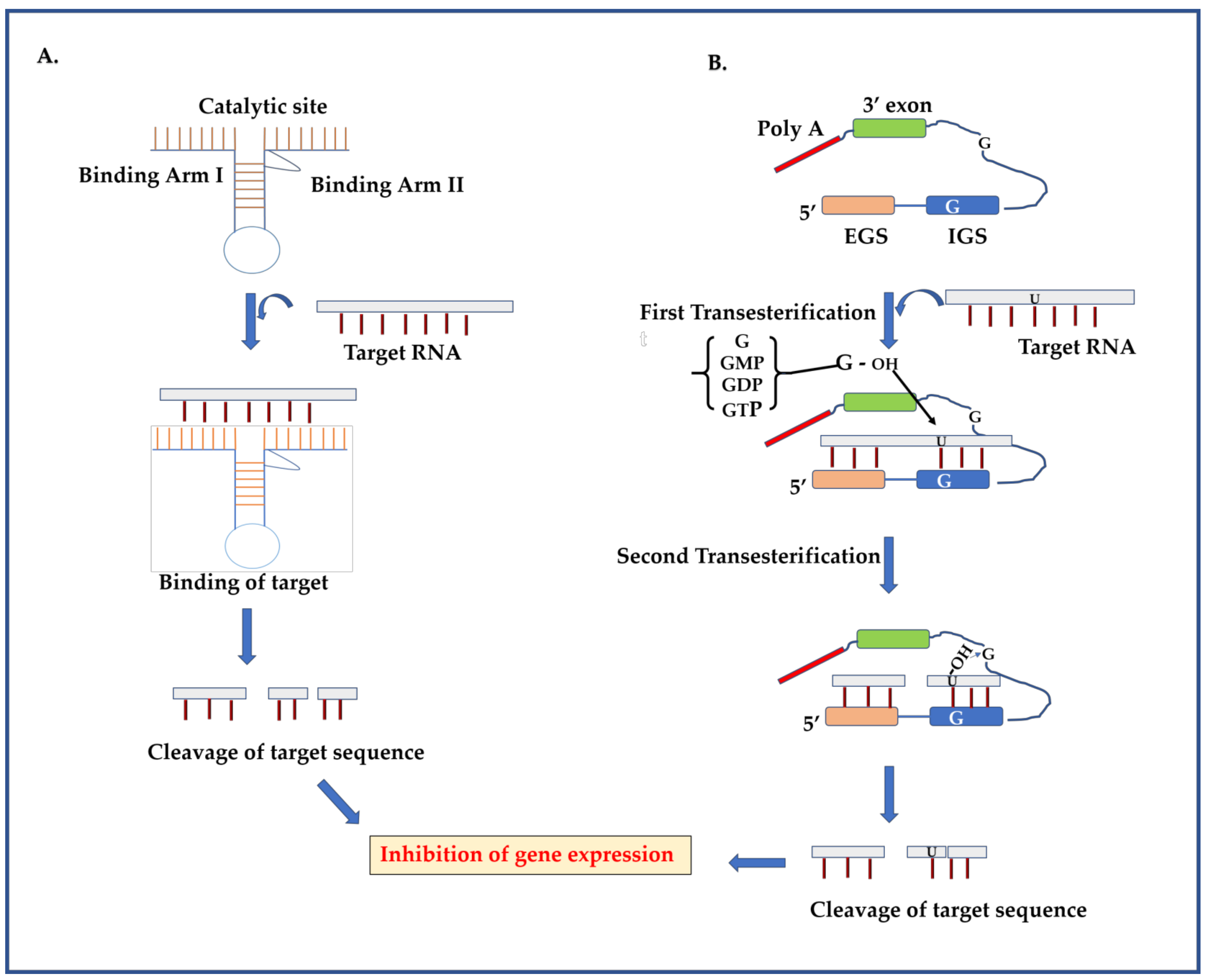 Molecules 26 00956 g003