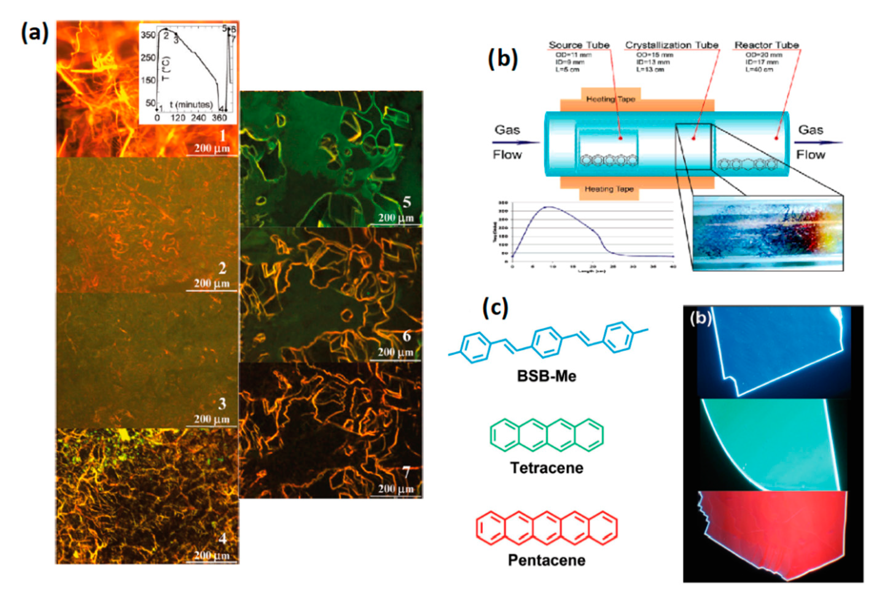 Molecules 26 00958 g008 Molecules 26 00958 g008
