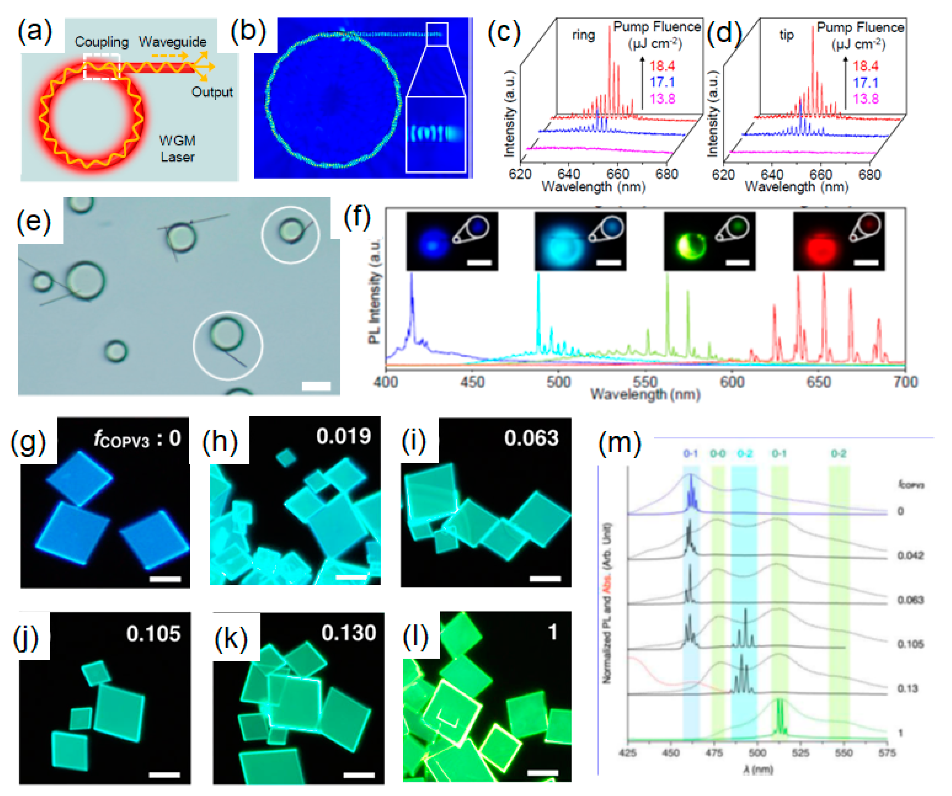 Molecules Free Full Text Organic Semiconductor Micro Nanocrystals For Laser Applications Html