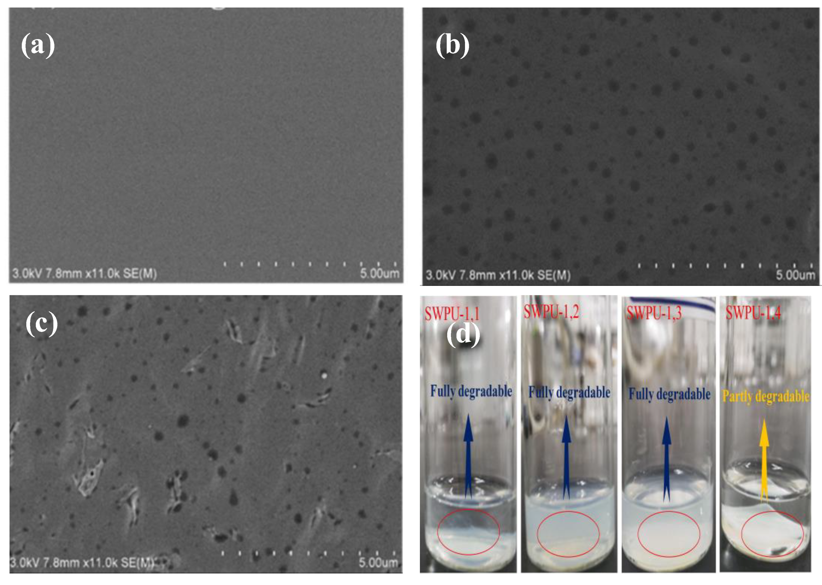 Molecules 26 00961 g014 Molecules 26 00961 g014