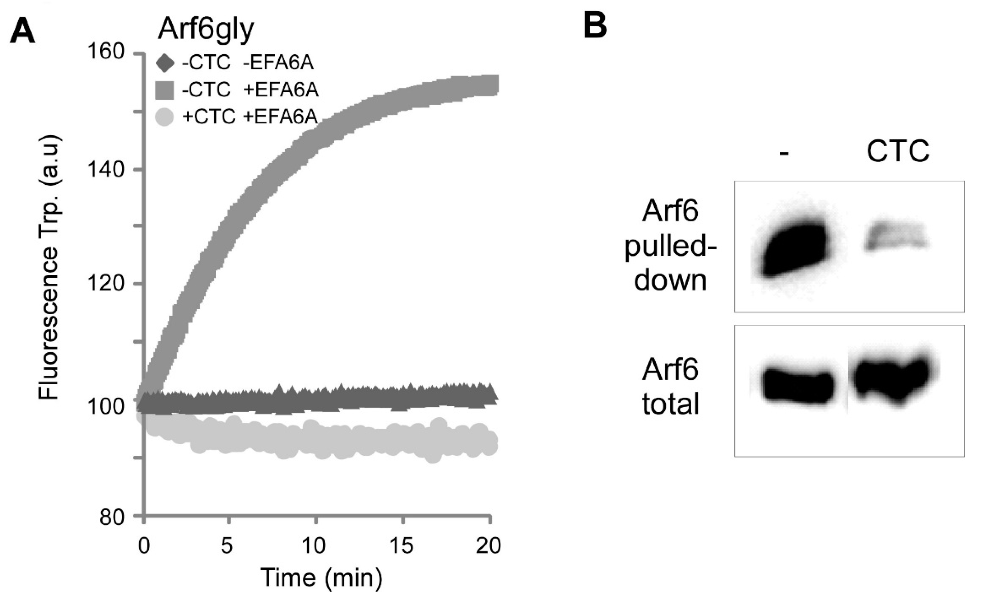 Molecules 26 00969 g004