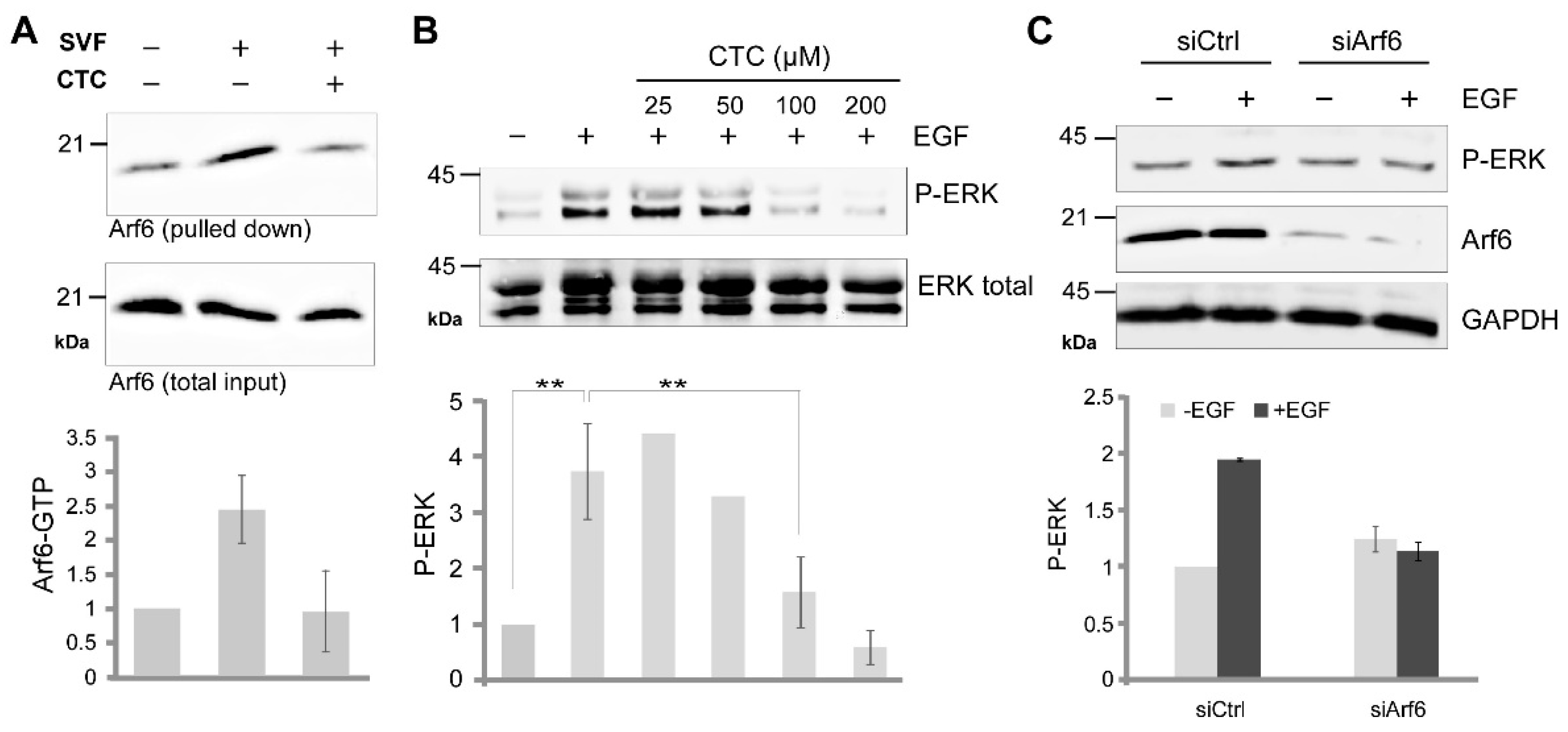 Molecules 26 00969 g005