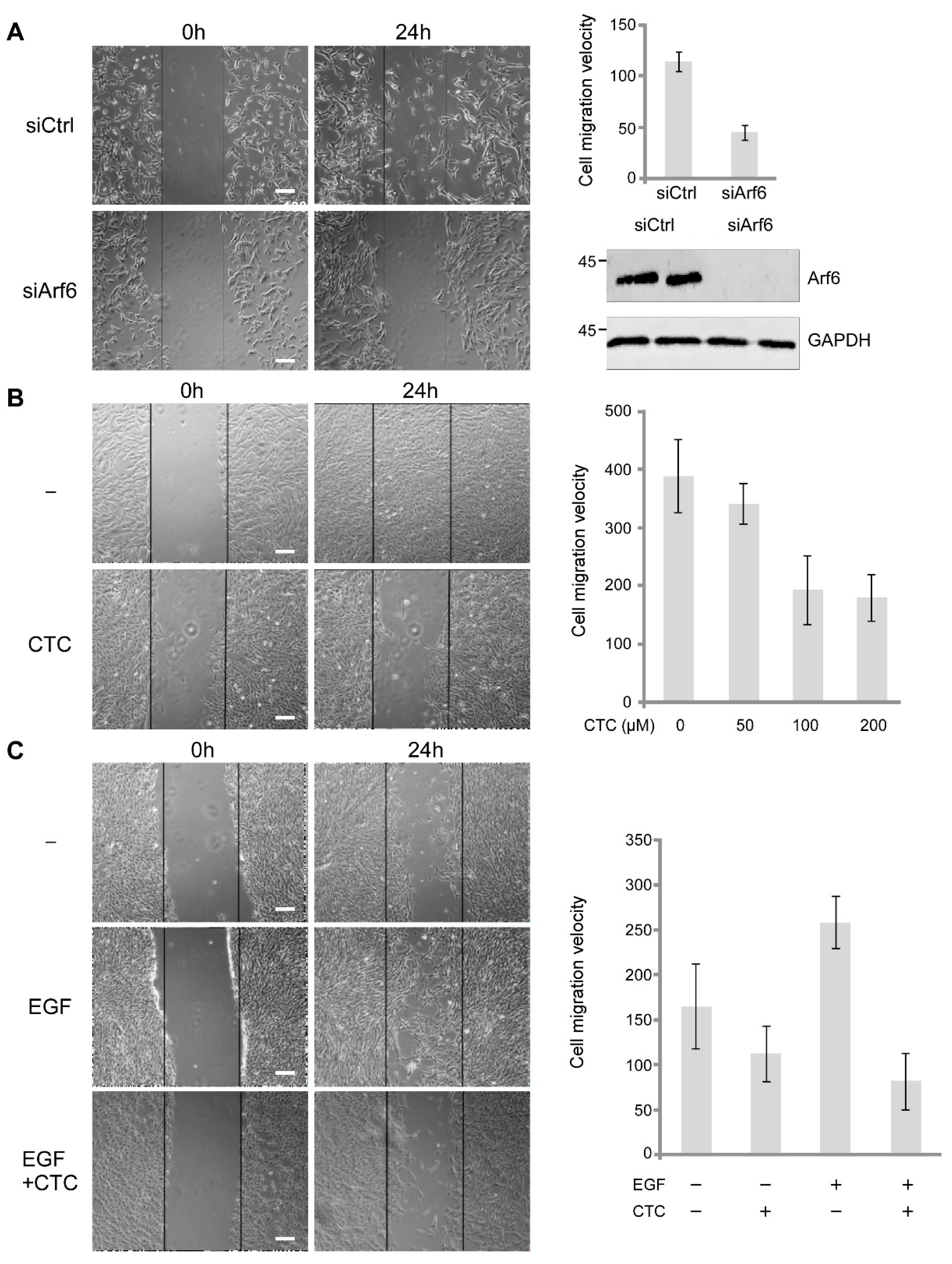 Molecules 26 00969 g006