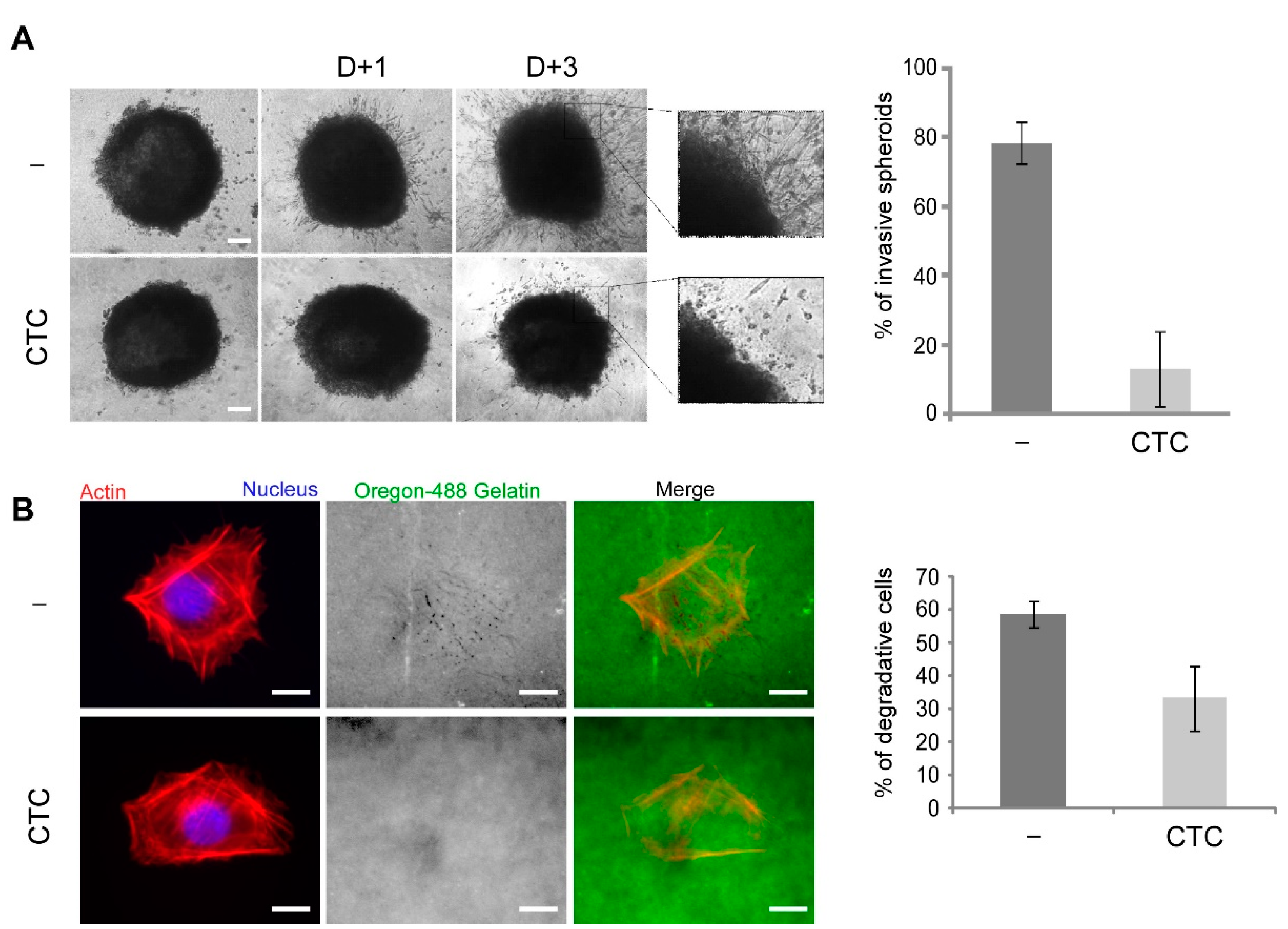 Molecules 26 00969 g007