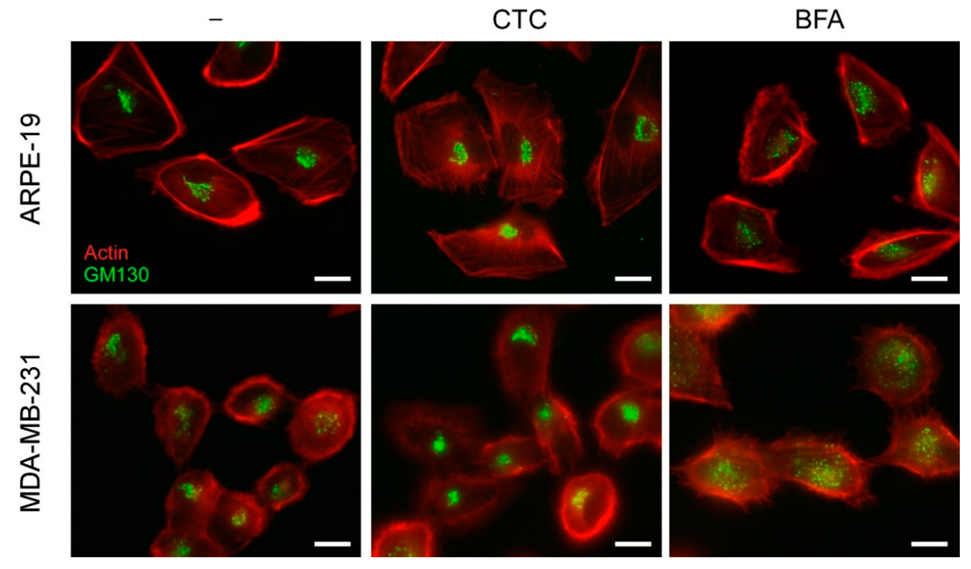 Molecules 26 00969 g0a1