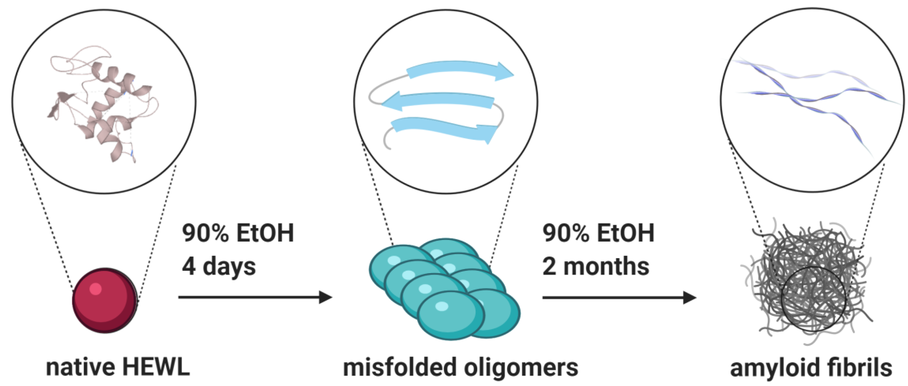 Molecules 26 00970 sch001 Molecules 26 00970 sch001