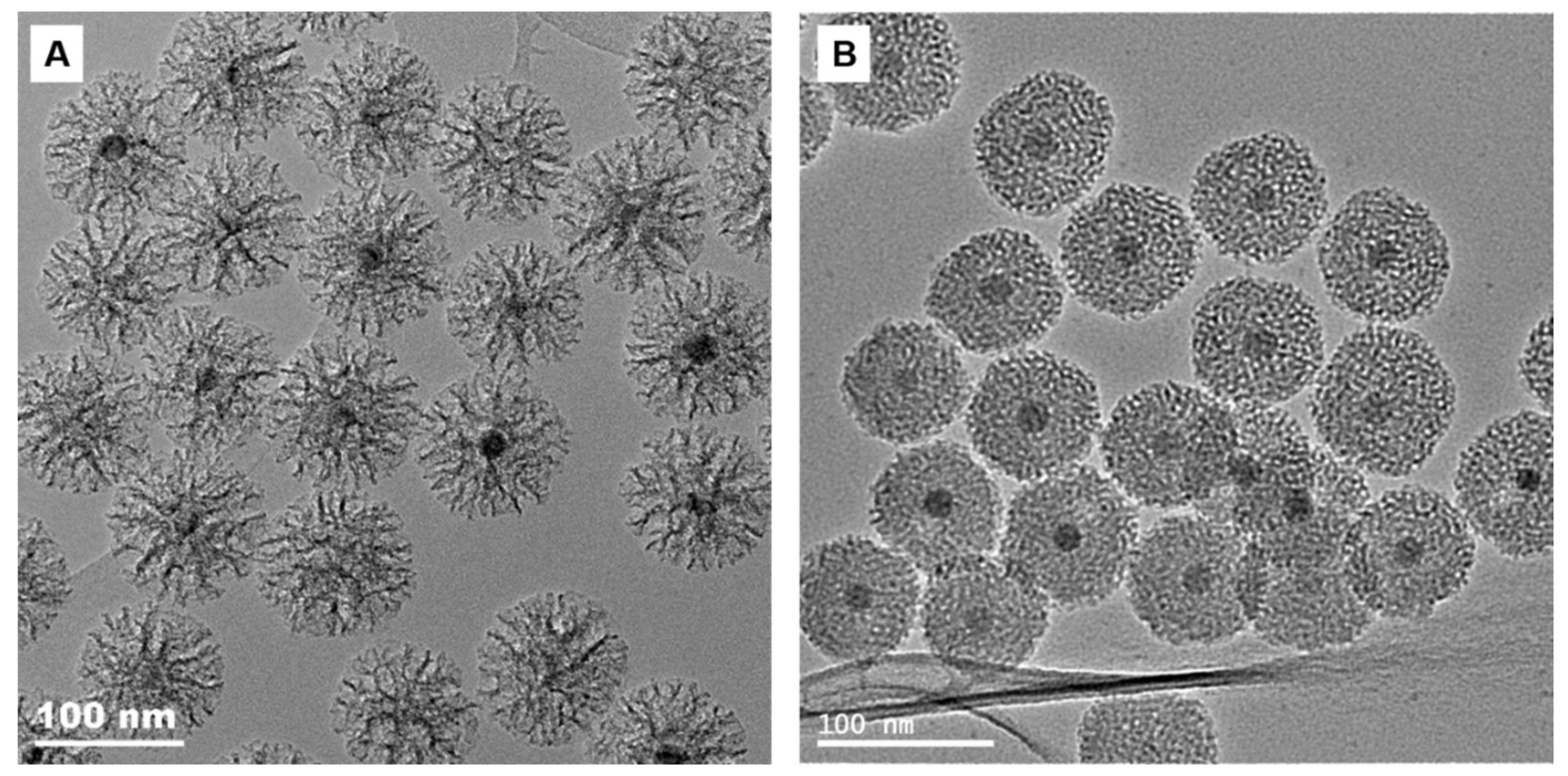 Molecules 26 00971 g004 Molecules 26 00971 g004