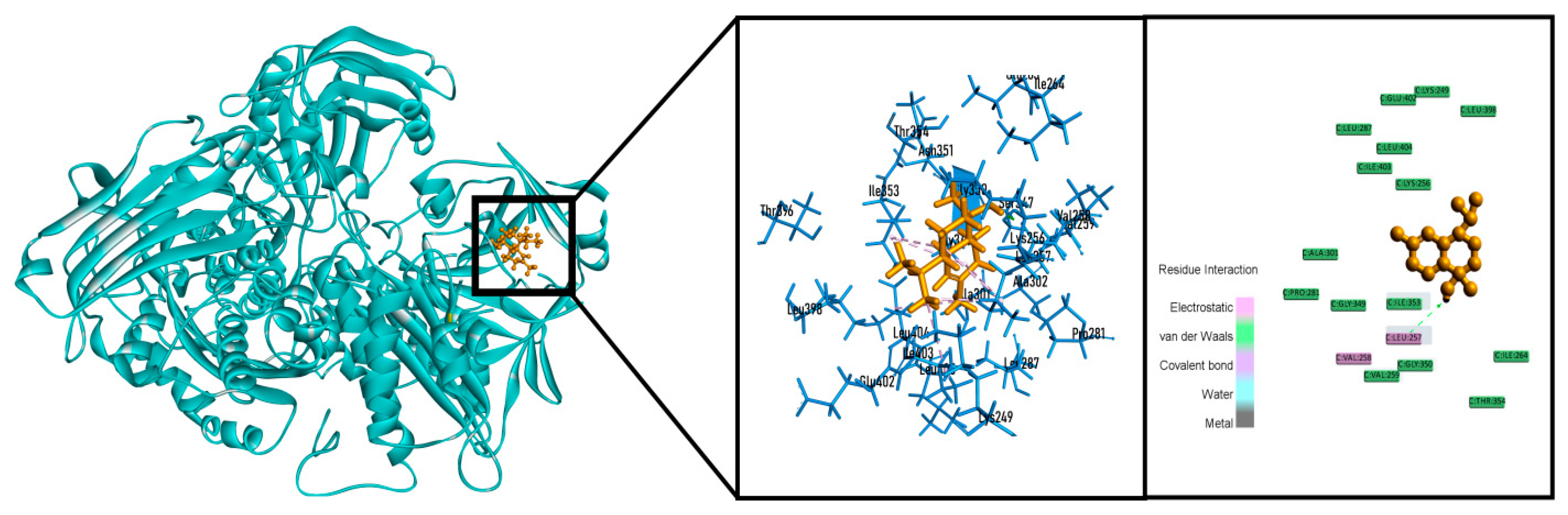 Molecules 26 00975 g006 Molecules 26 00975 g006