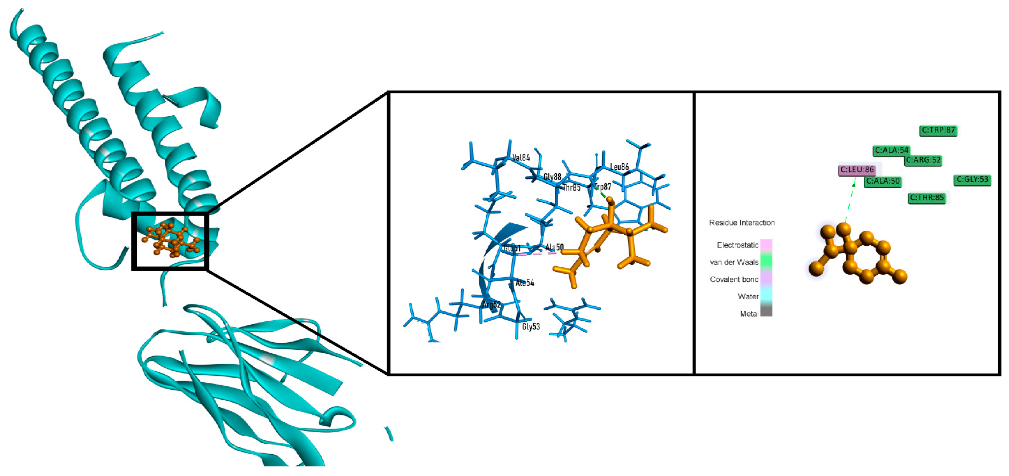 Molecules 26 00975 g008 Molecules 26 00975 g008