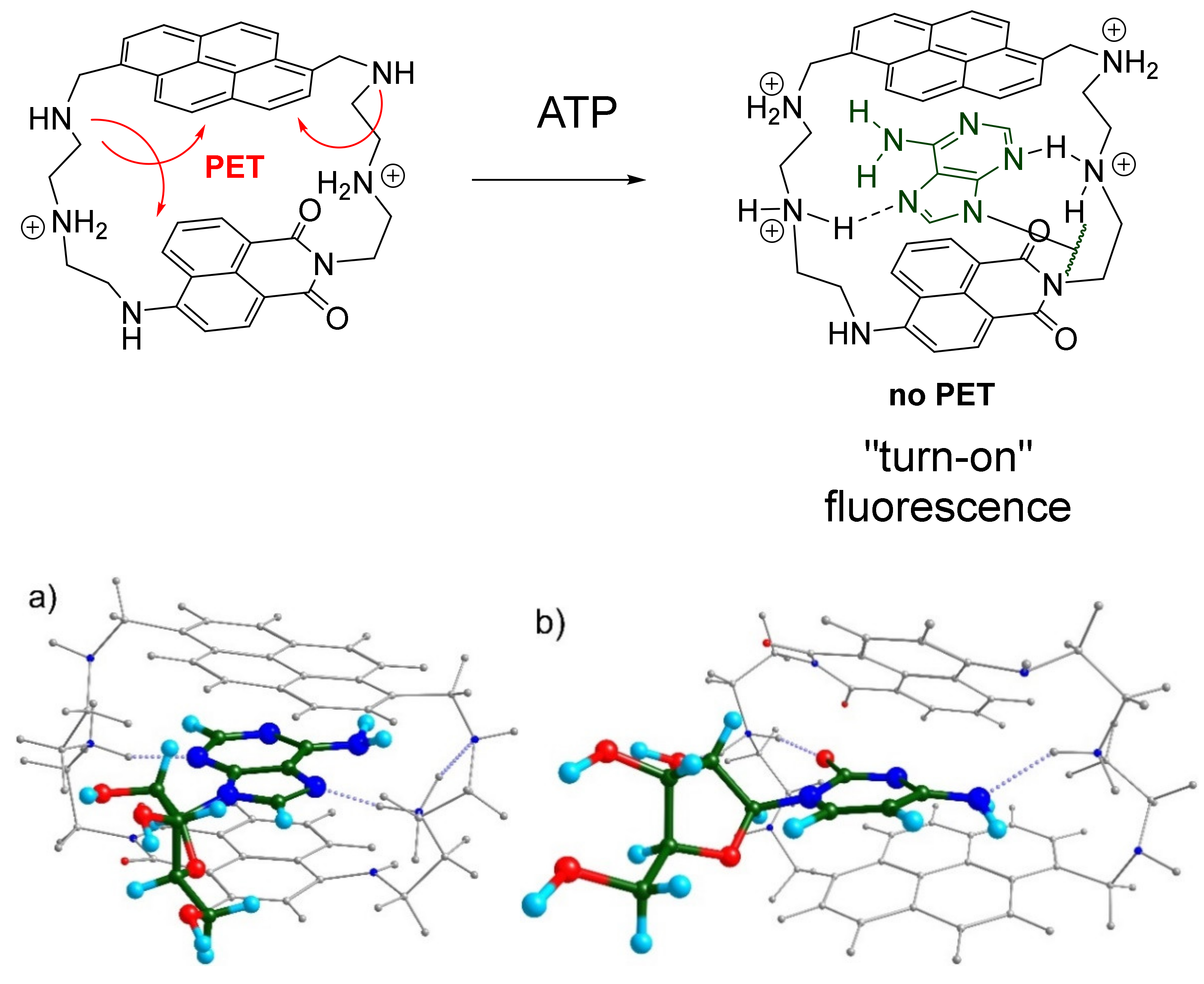 Molecules 26 00980 g004
