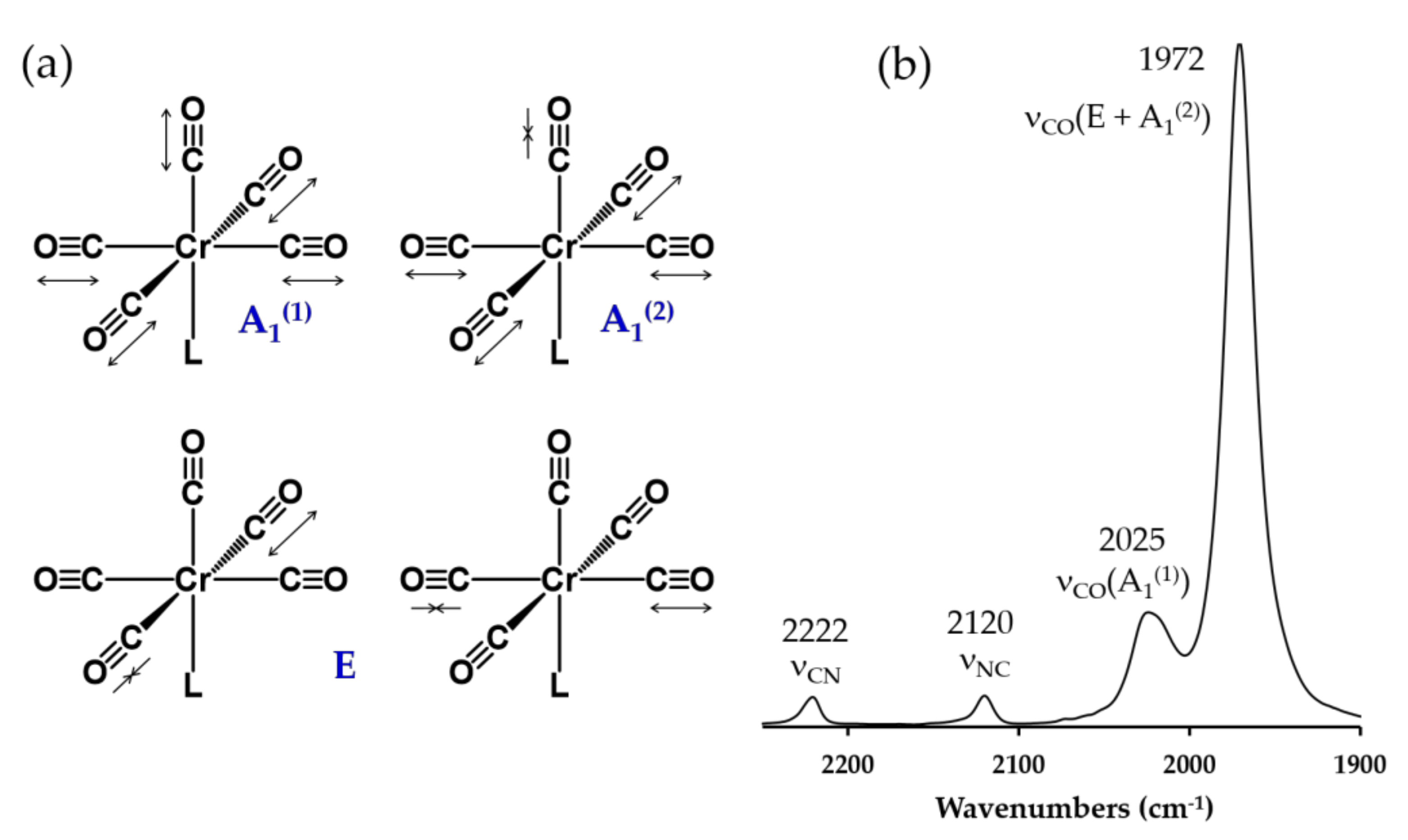 Molecules 26 00981 g008 Molecules 26 00981 g008