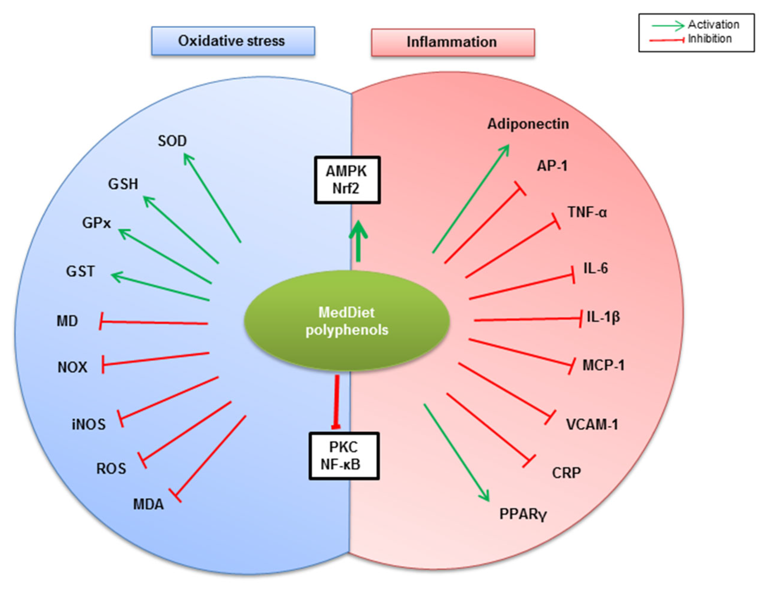 Molecules 26 00985 g003 Molecules 26 00985 g003