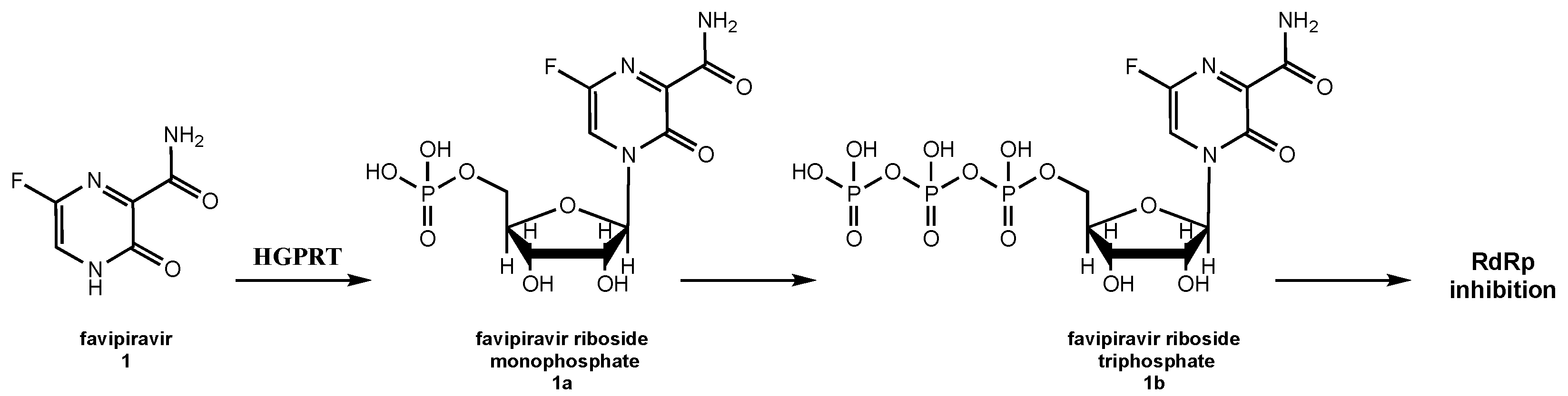 Molecules 26 00986 g002
