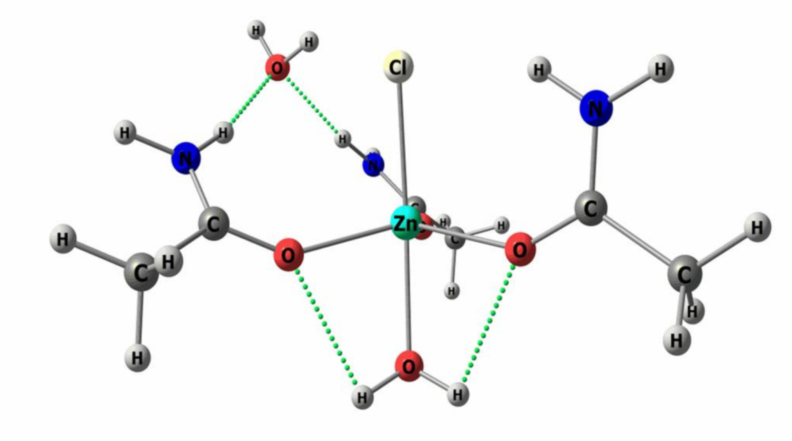 Molecules 26 00990 g008