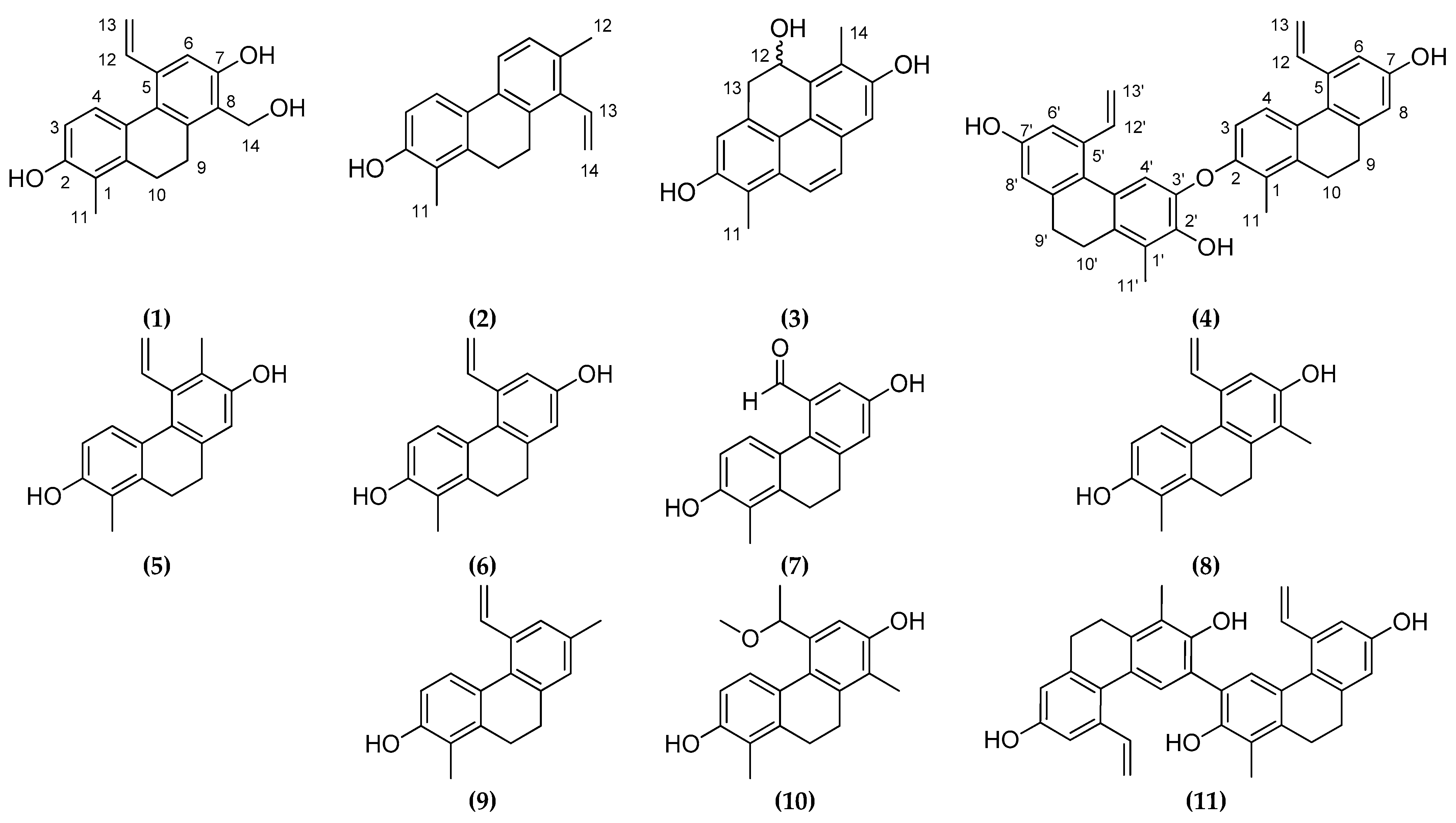 Molecules 26 00999 g001