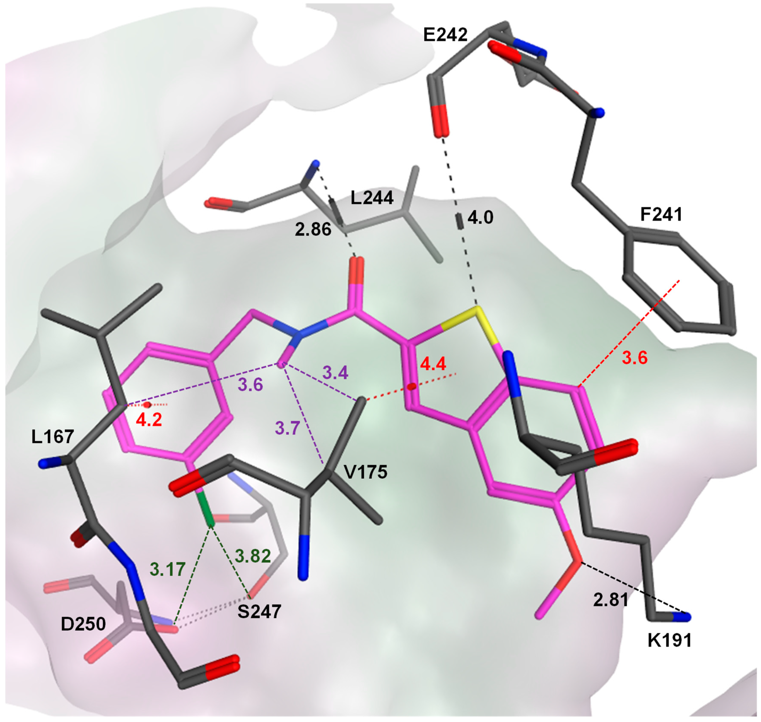 Molecules 26 01001 g003 Molecules 26 01001 g003