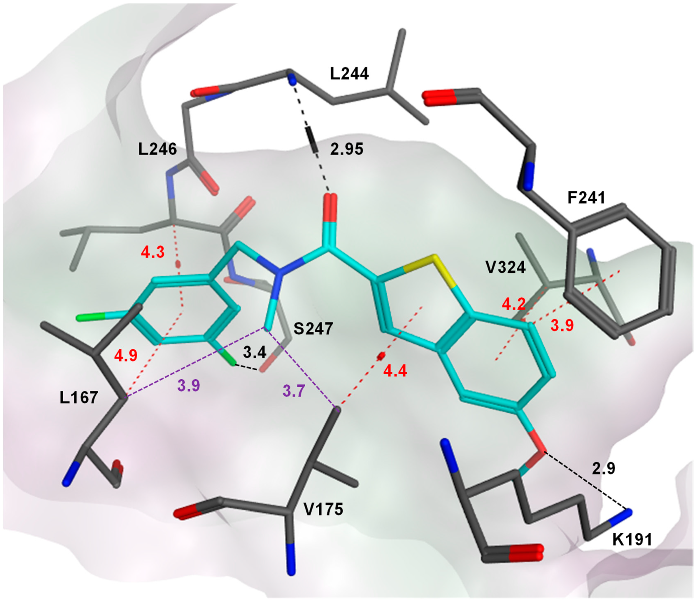 Molecules 26 01001 g004 Molecules 26 01001 g004