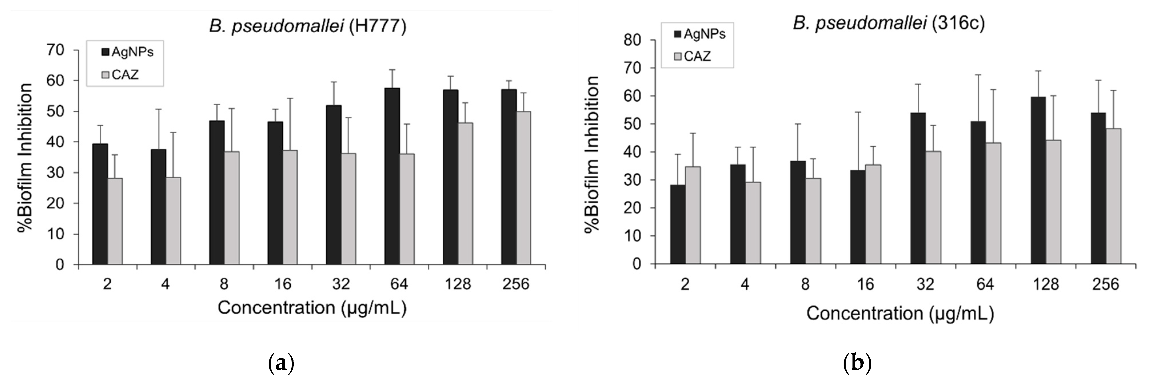 Molecules 26 01004 g006 Molecules 26 01004 g006