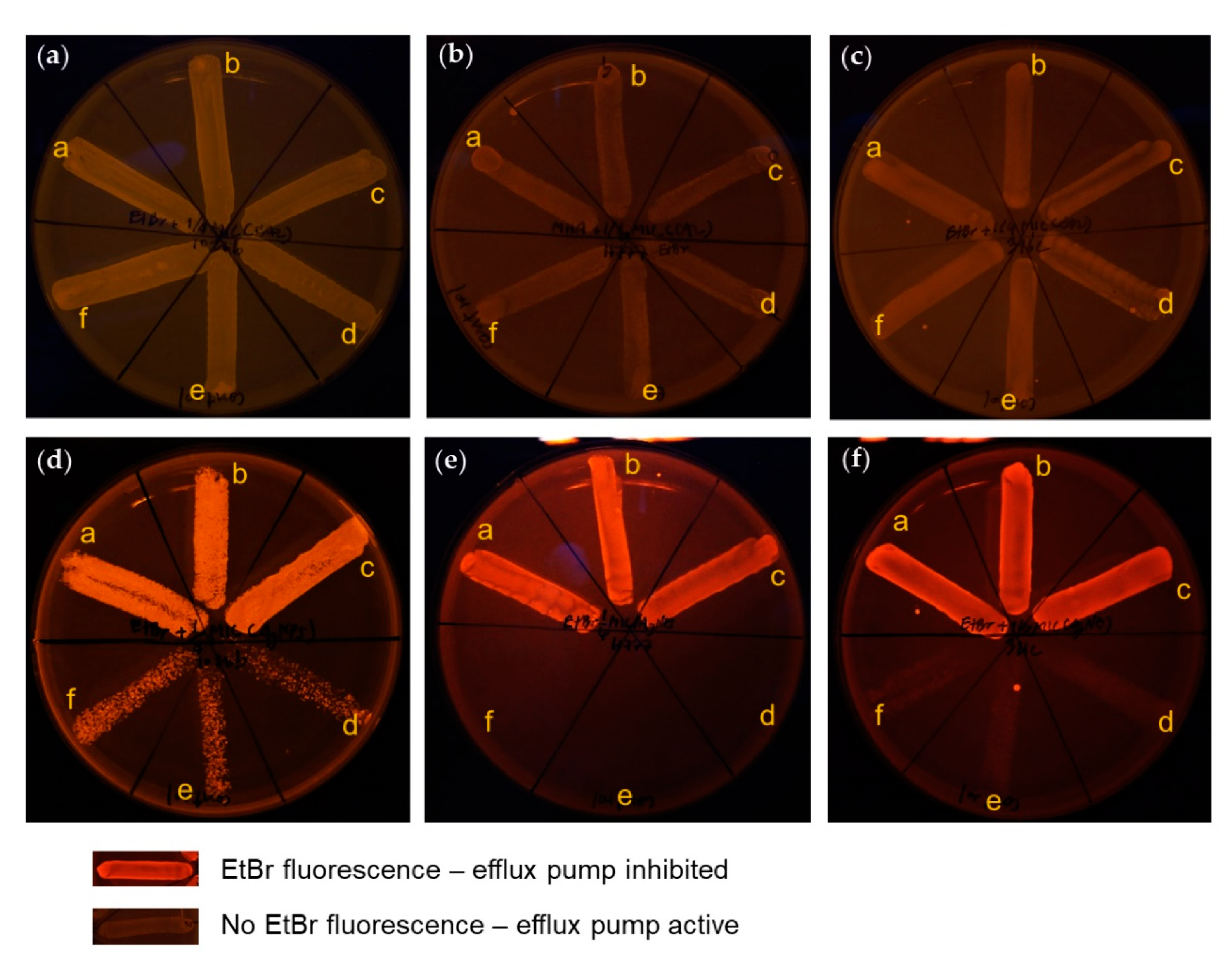Molecules 26 01004 g008 Molecules 26 01004 g008