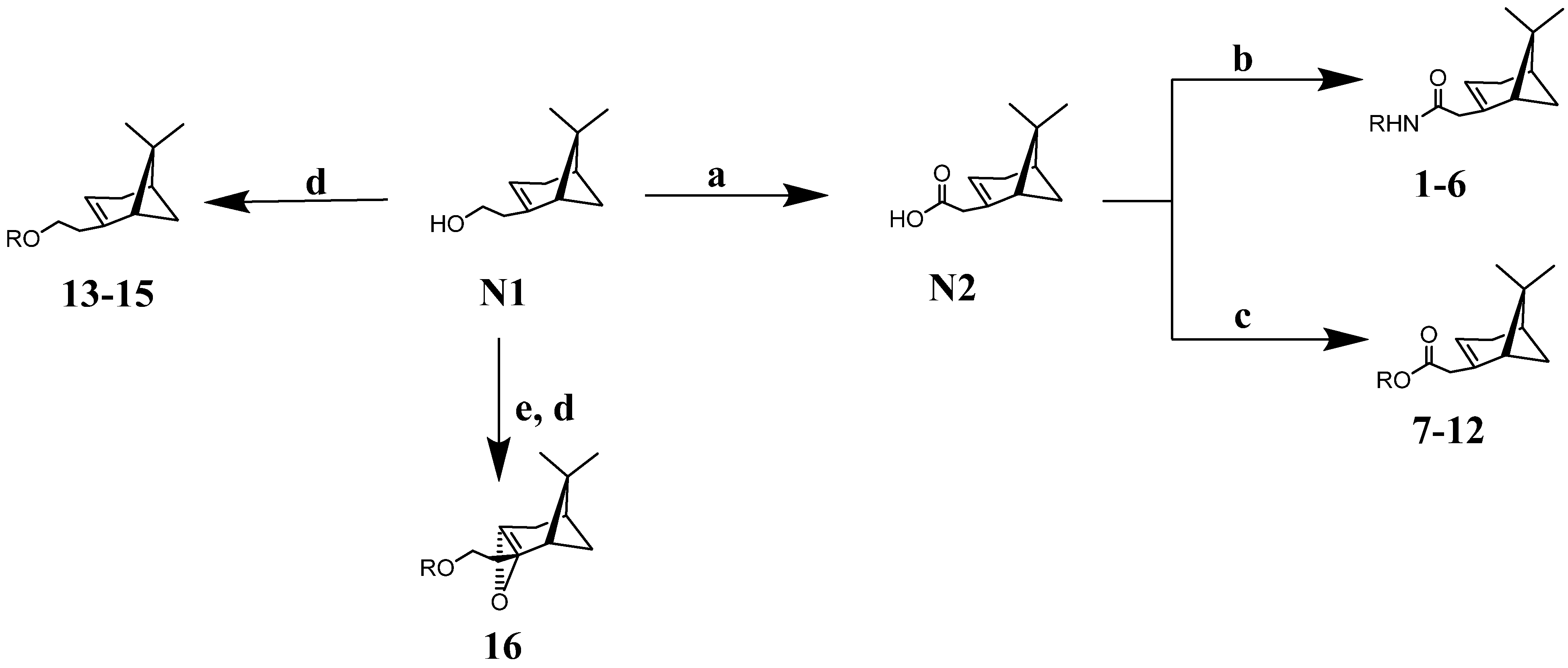Molecules 26 01008 sch001