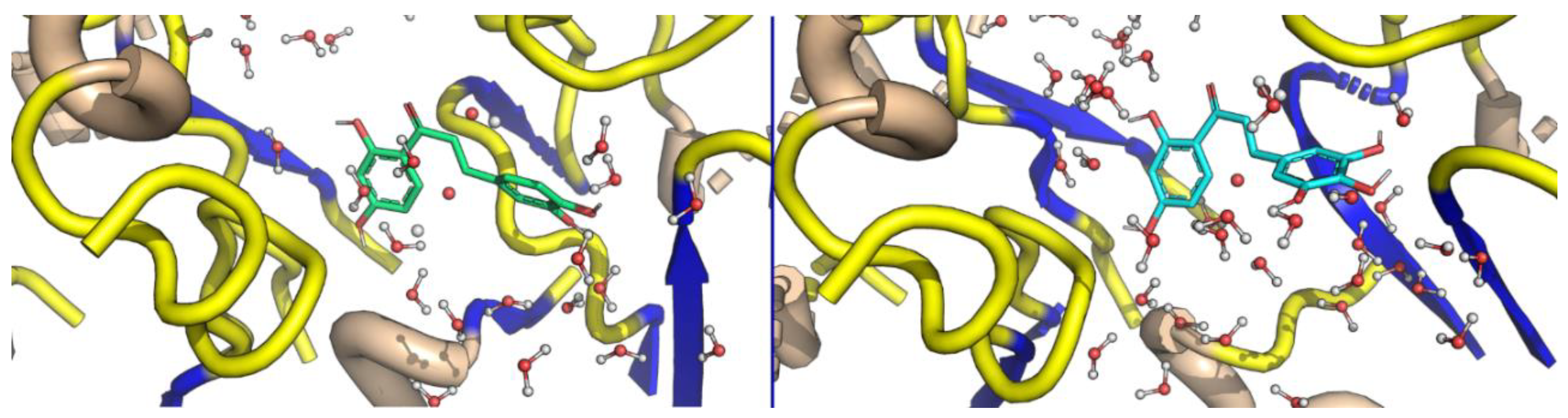 Molecules 26 01009 g007