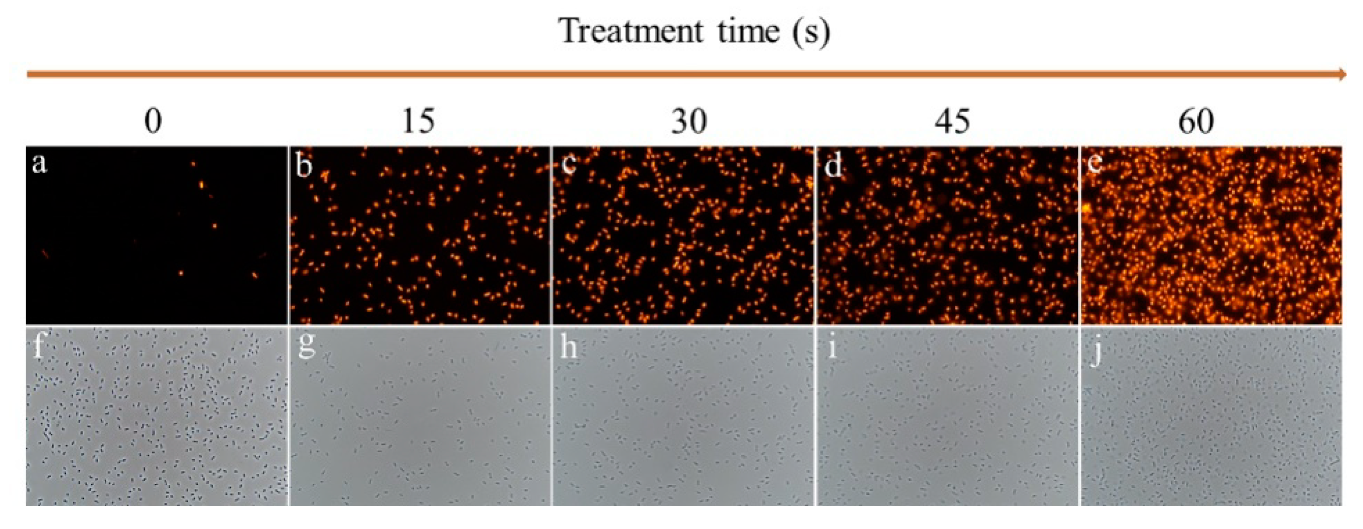 Molecules 26 01012 g005 Molecules 26 01012 g005