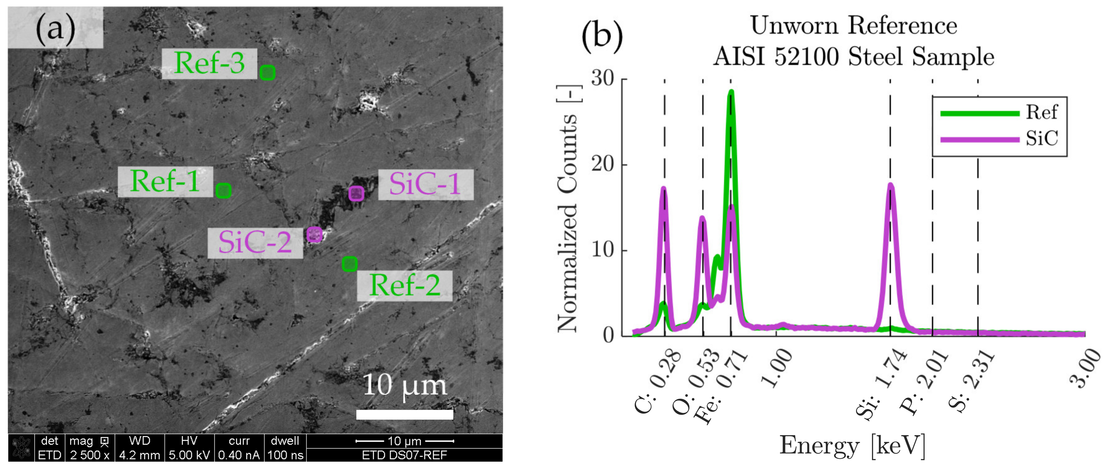 Molecules 26 01013 g001