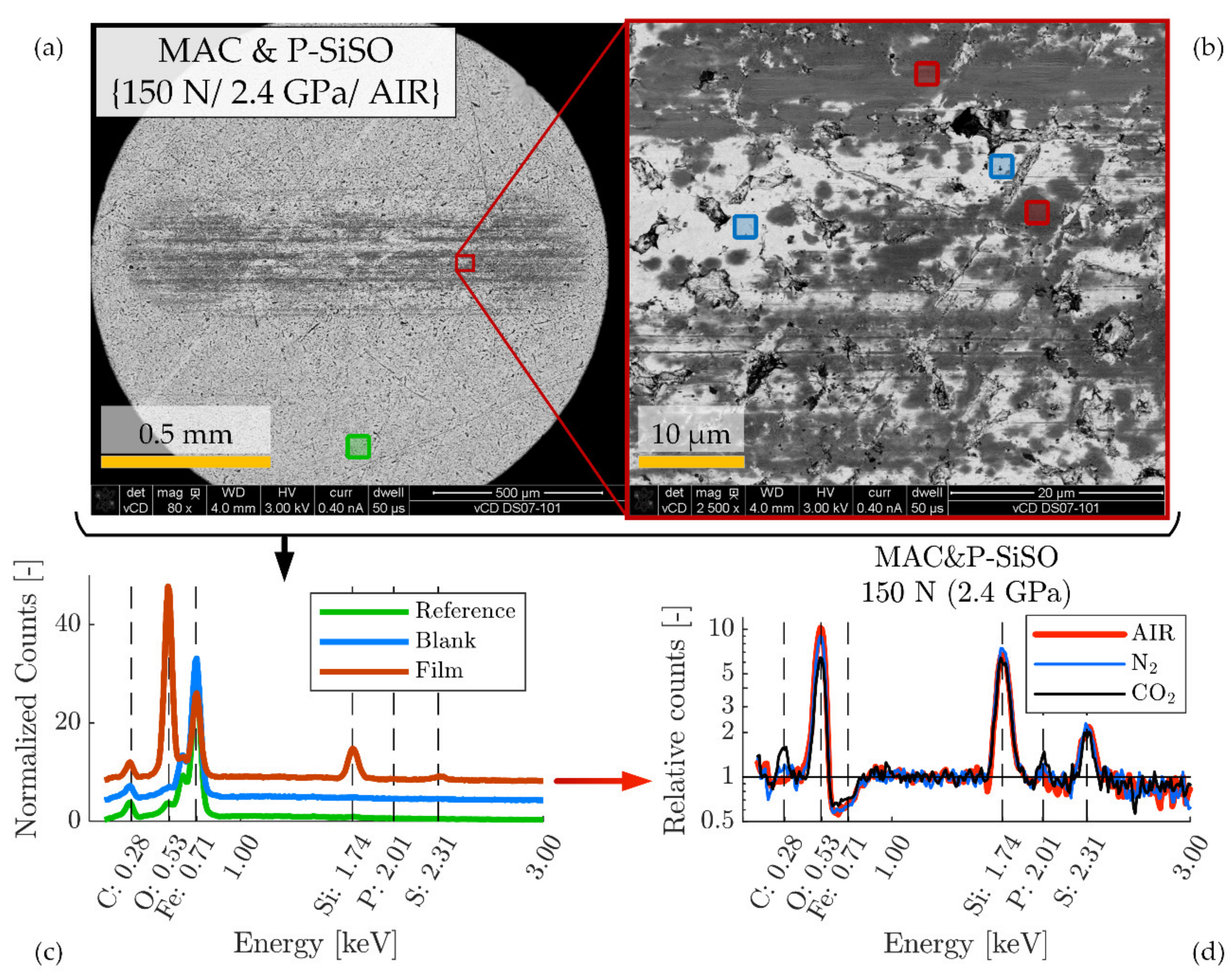 Molecules 26 01013 g009