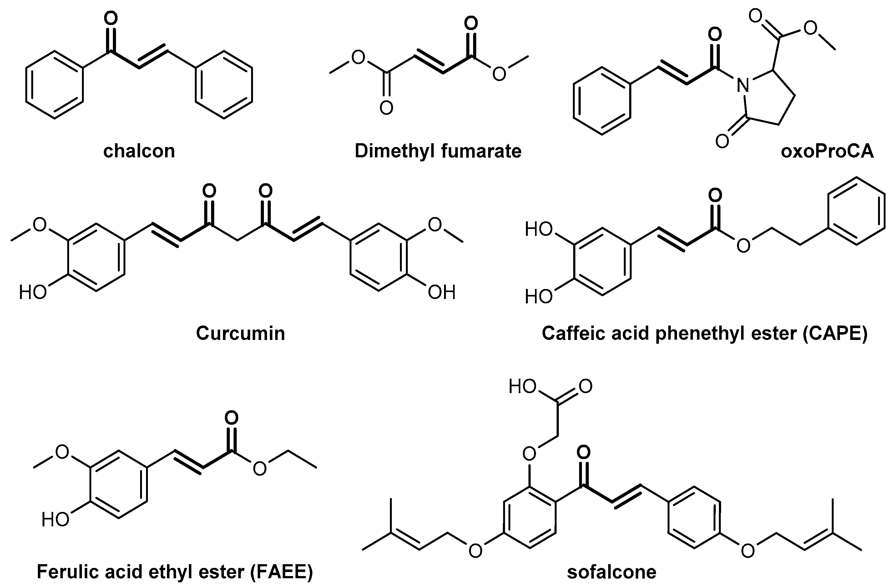 Molecules 26 01027 g001 Molecules 26 01027 g001