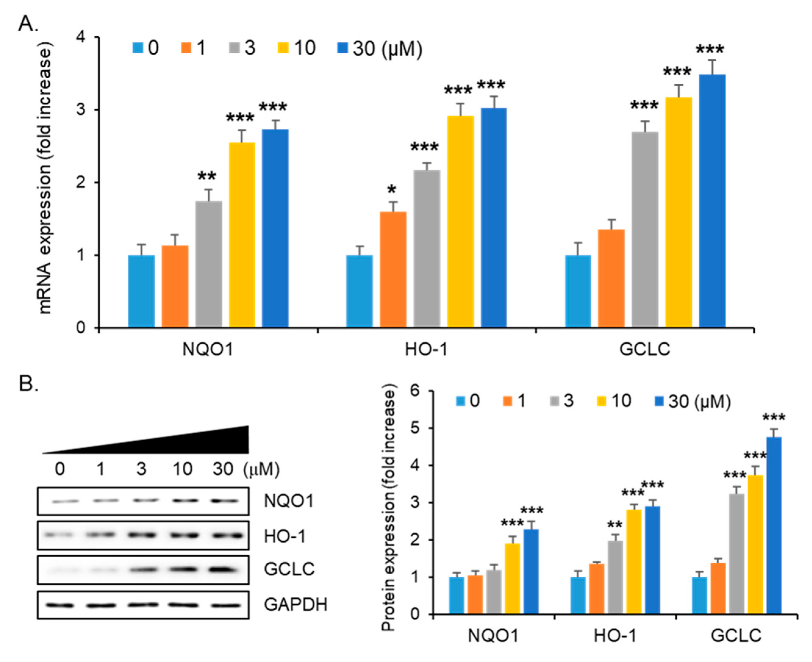 Molecules 26 01027 g005 Molecules 26 01027 g005