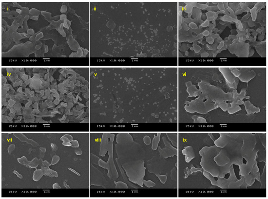 Biguanide-Based Synthesis of 1,3,5-Triazine Derivatives with Anticancer ...