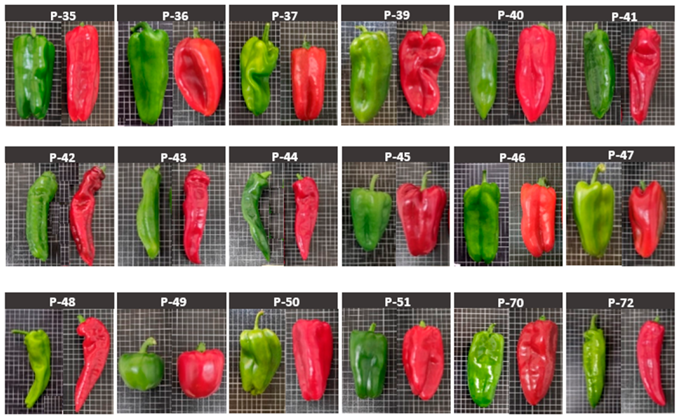 Molecules 26 01031 g006 Molecules 26 01031 g006