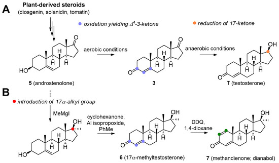 Molecules Free Full Text Medicinal Use Of Testosterone And Related Steroids Revisited Html