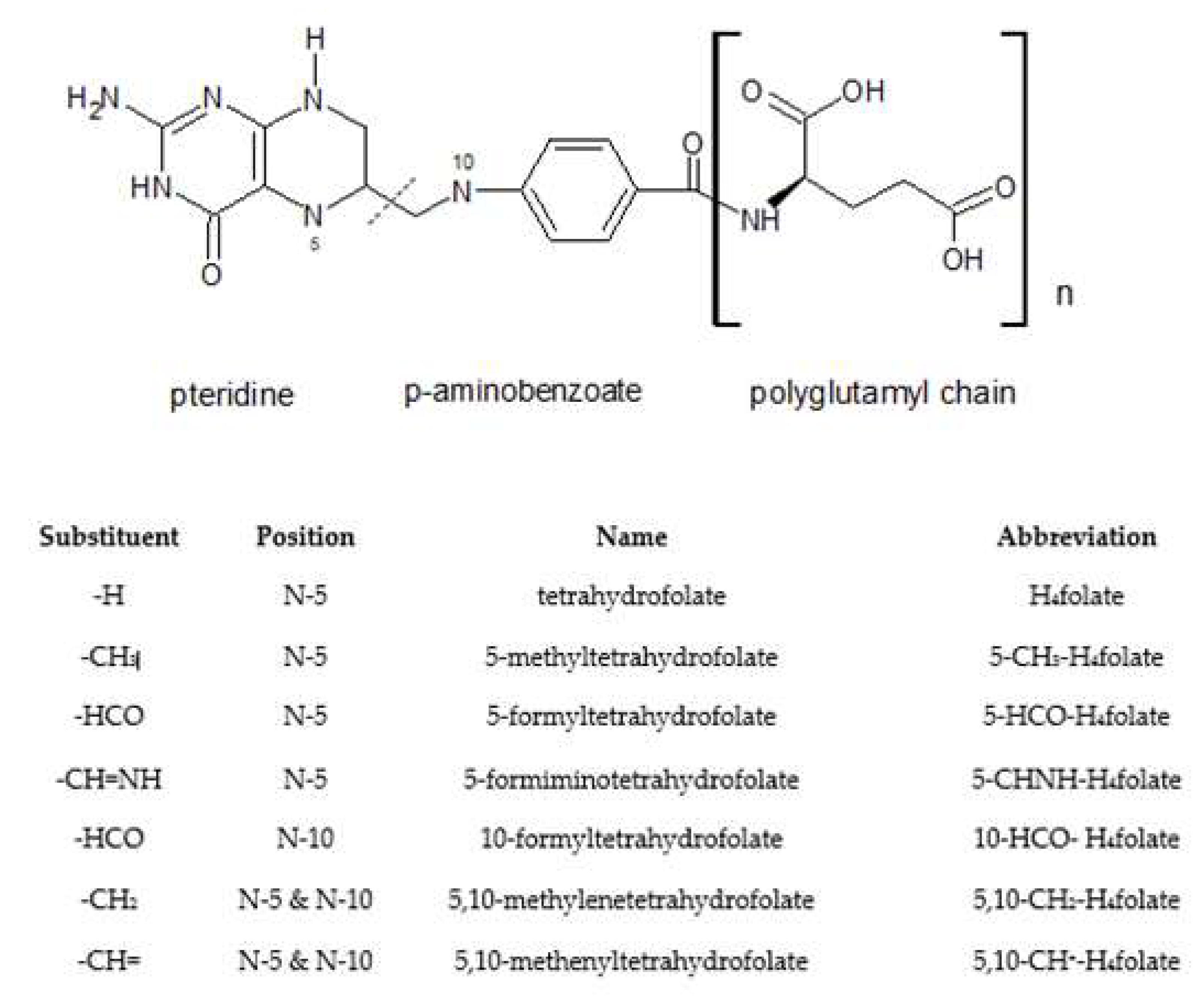Molecules 26 01034 g001 Molecules 26 01034 g001