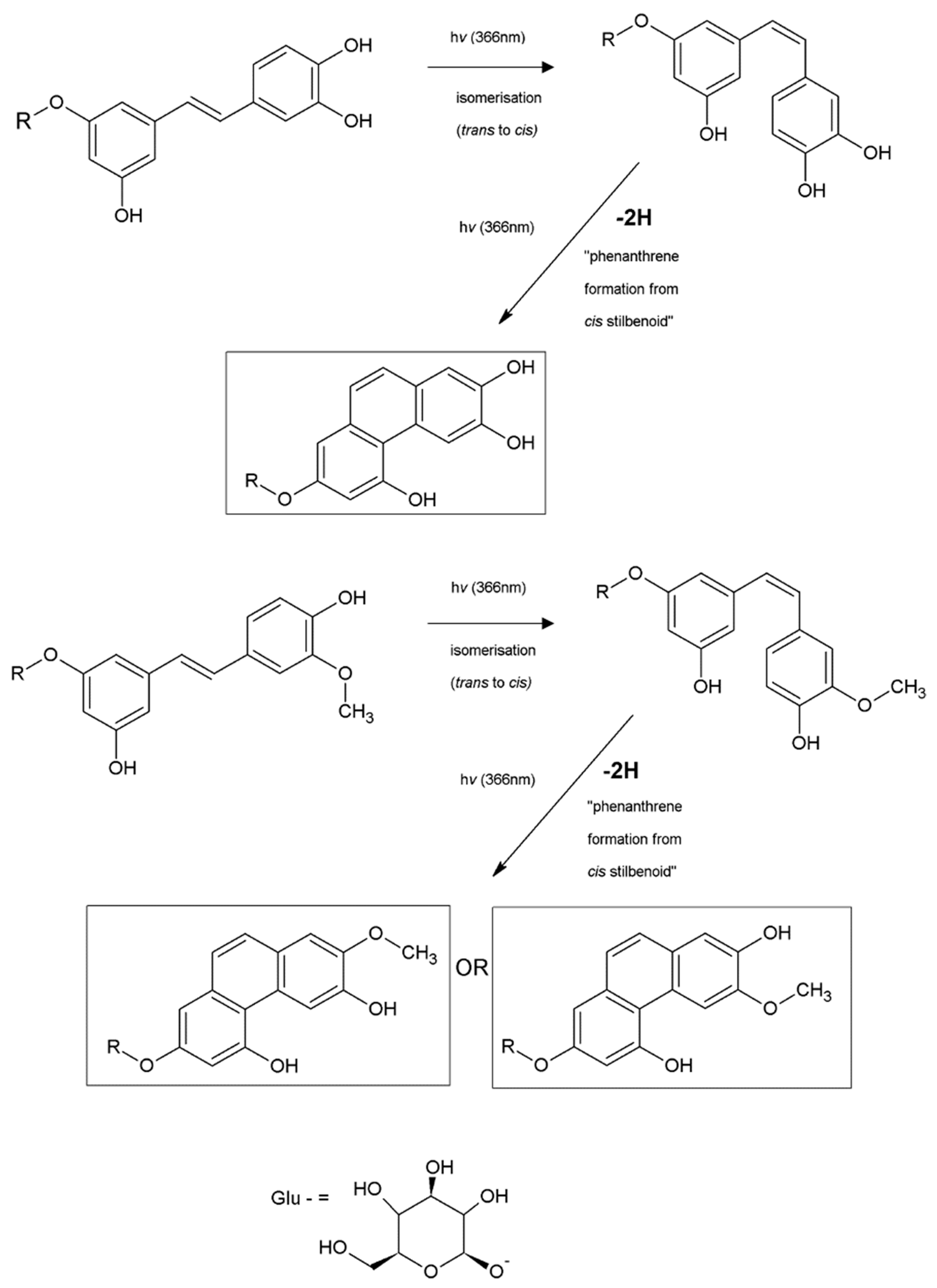 Molecules 26 01036 g010 Molecules 26 01036 g010