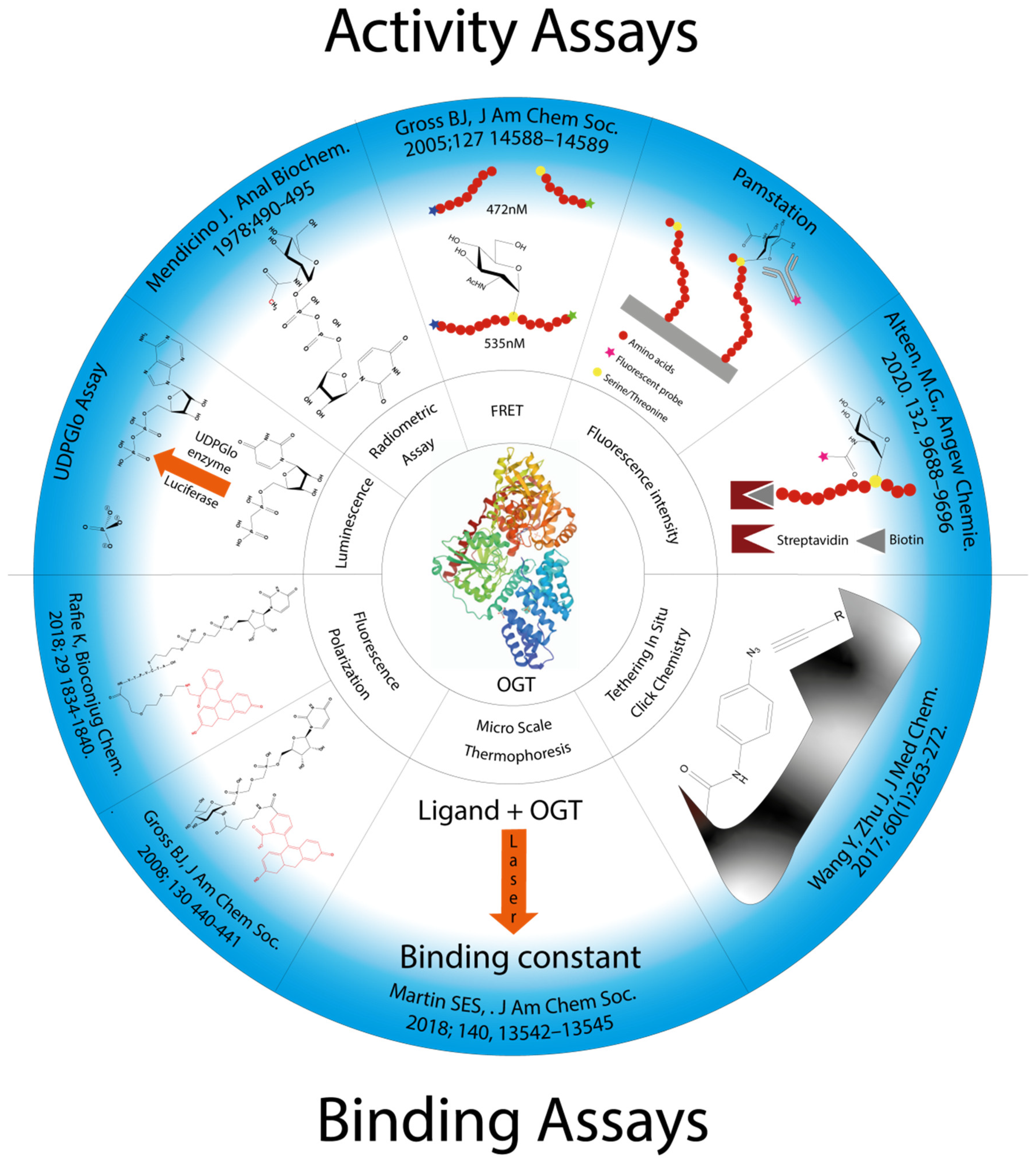 Molecules 26 01037 g003 Molecules 26 01037 g003