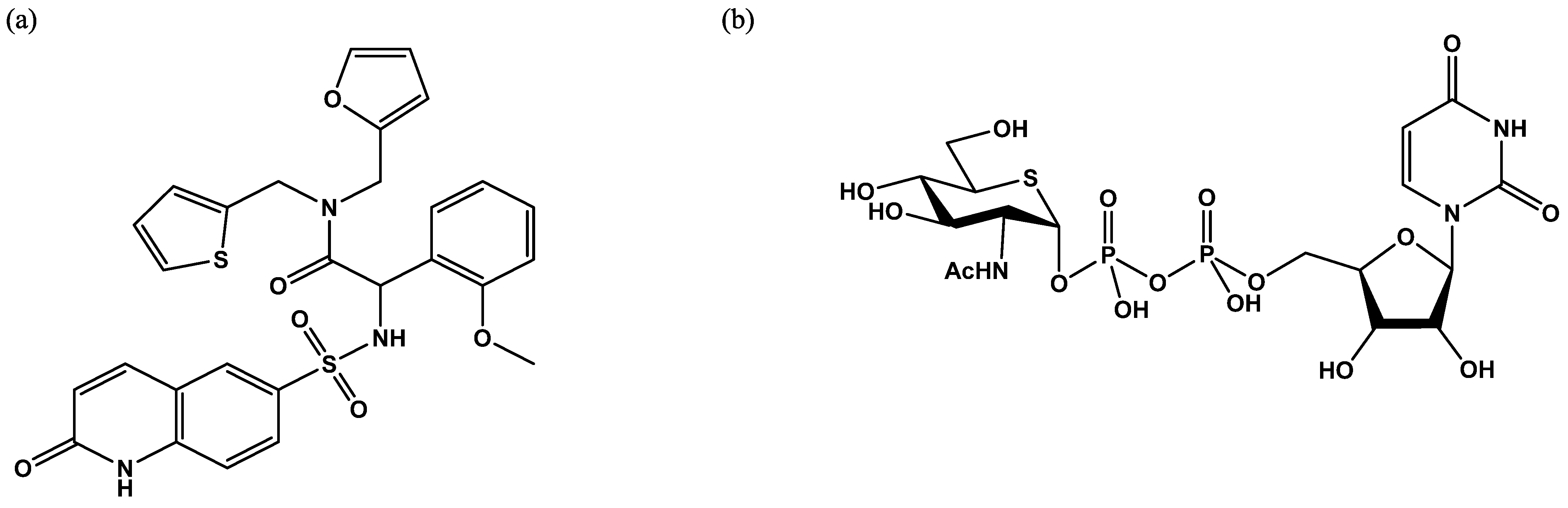 Molecules 26 01037 g006 Molecules 26 01037 g006