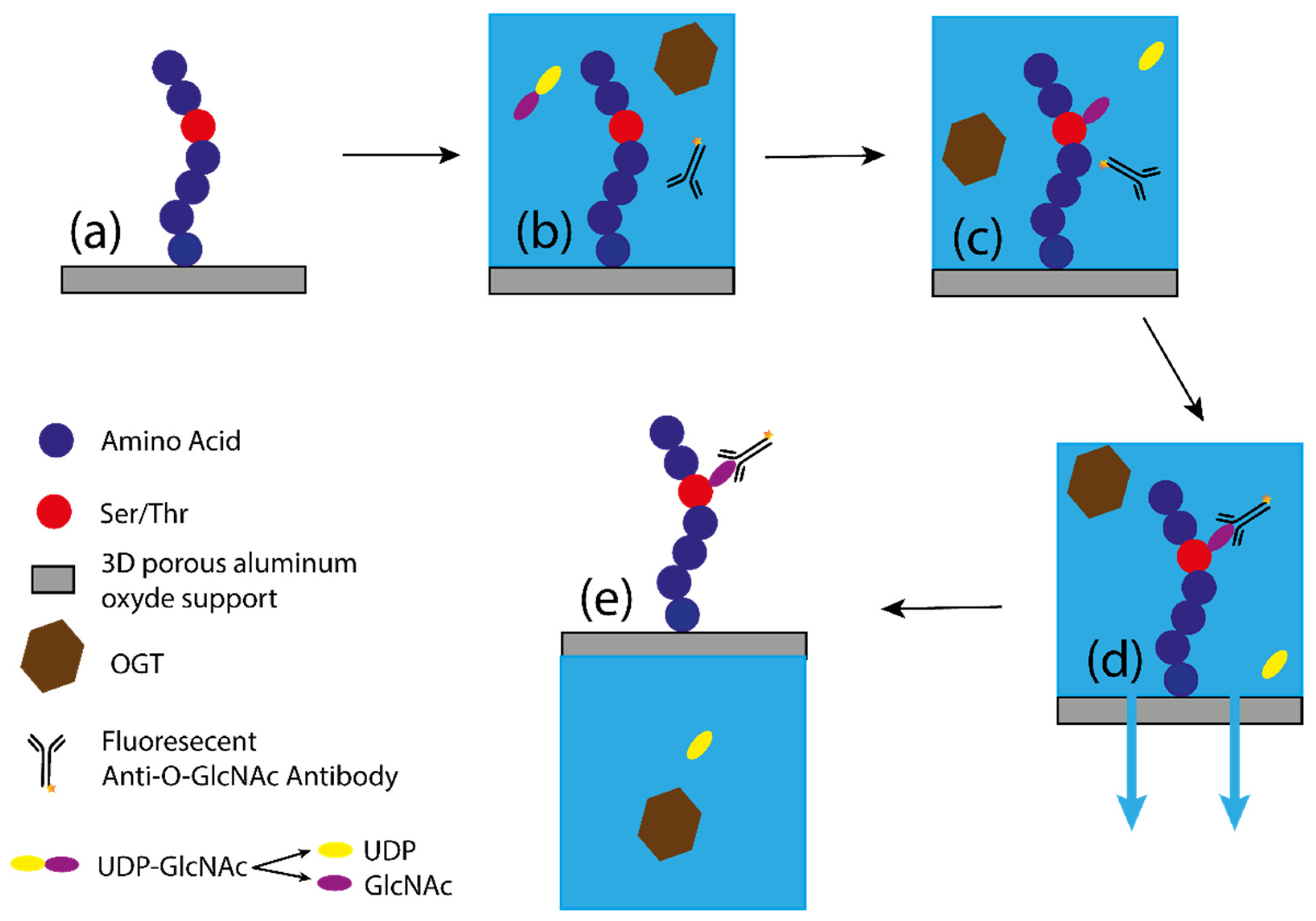 Molecules 26 01037 g009 Molecules 26 01037 g009