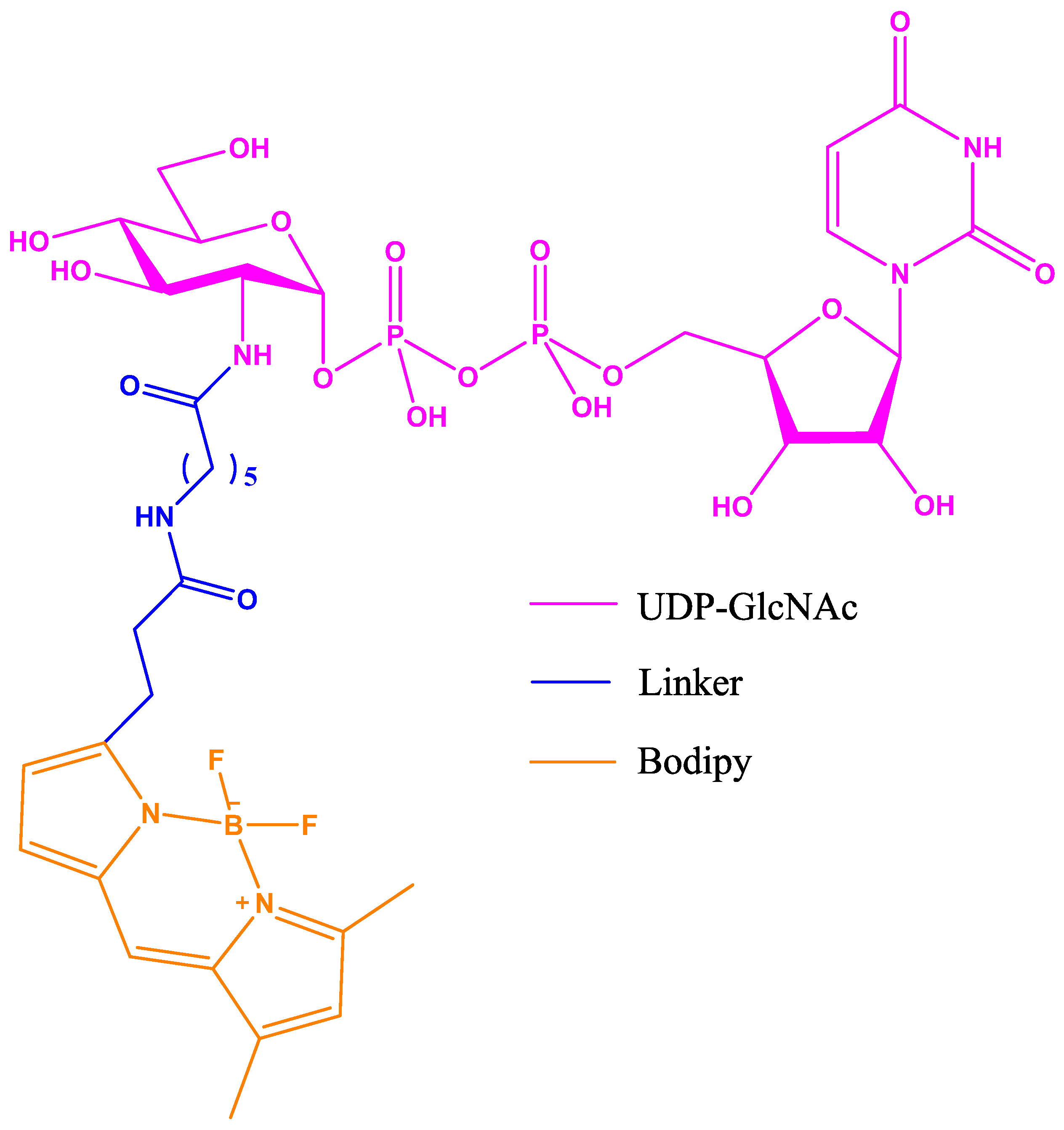 Molecules 26 01037 g011 Molecules 26 01037 g011