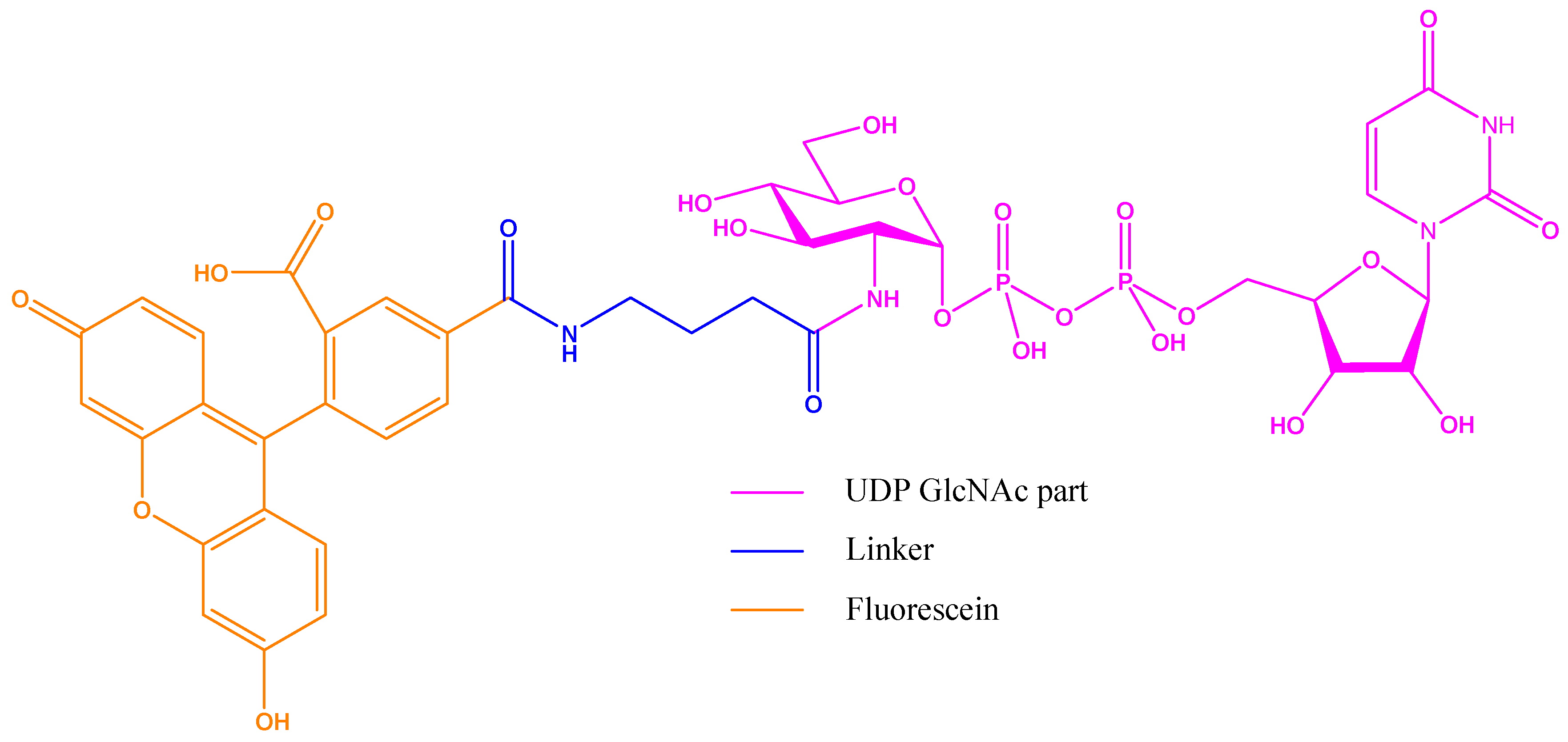 Molecules 26 01037 g015 Molecules 26 01037 g015
