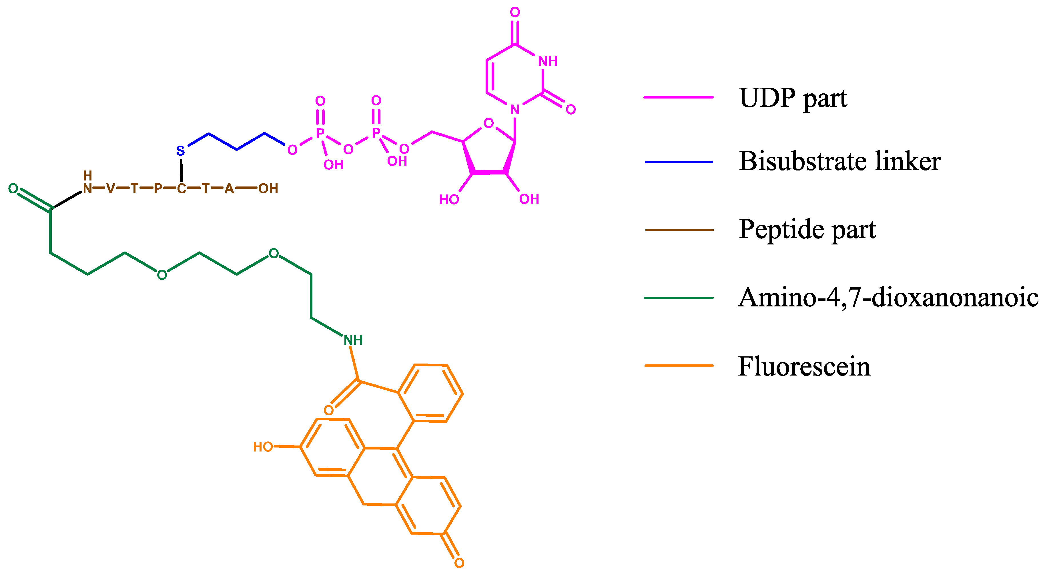 Molecules 26 01037 g017 Molecules 26 01037 g017