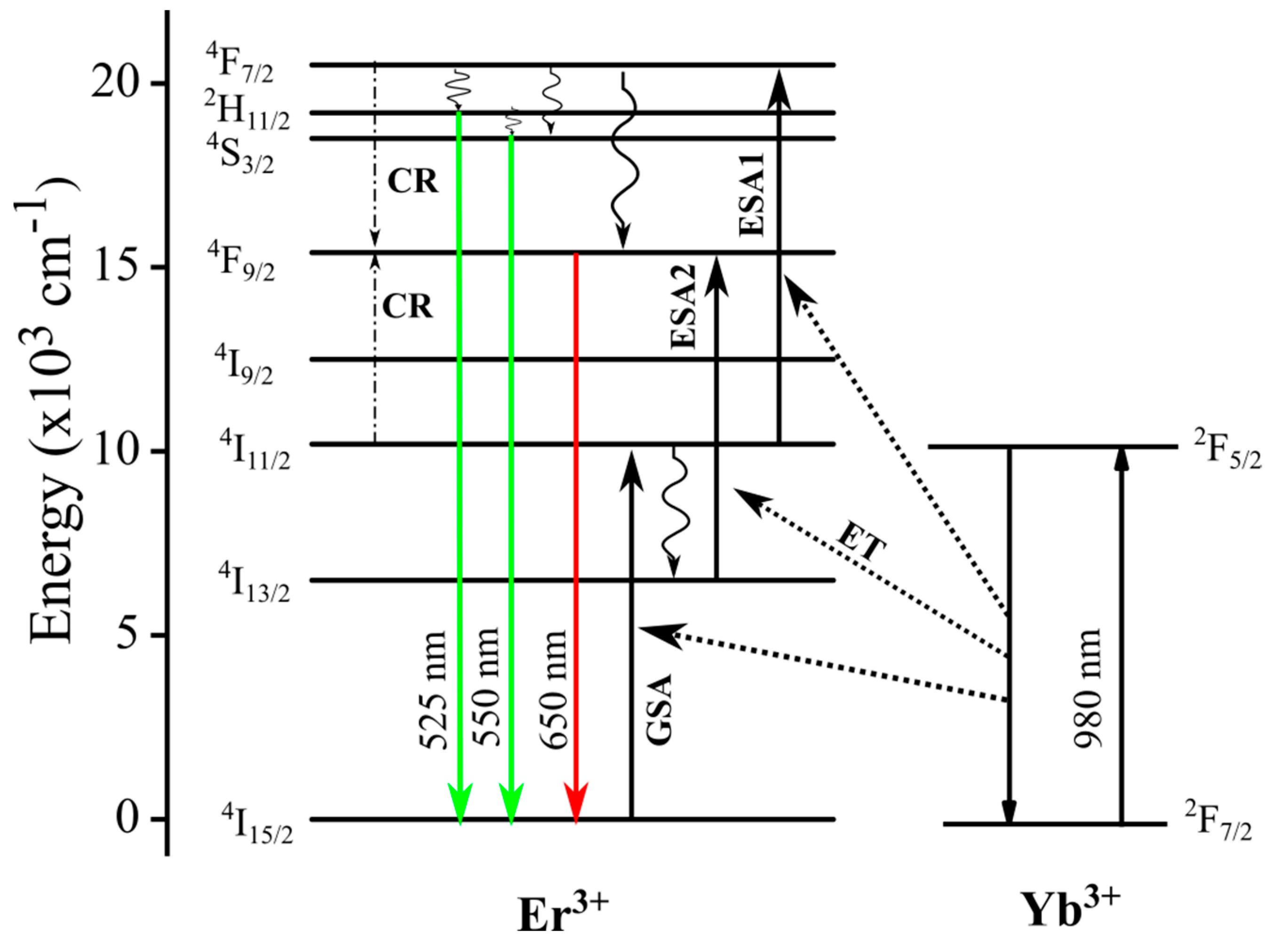 Molecules 26 01041 g005