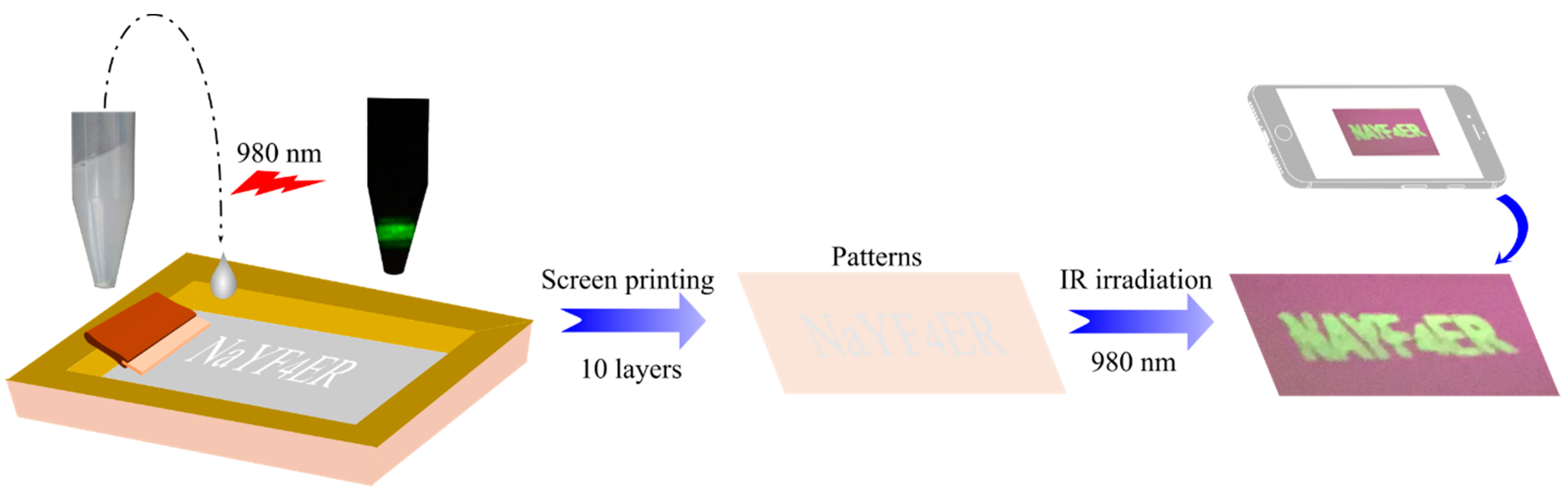 Molecules 26 01041 g006