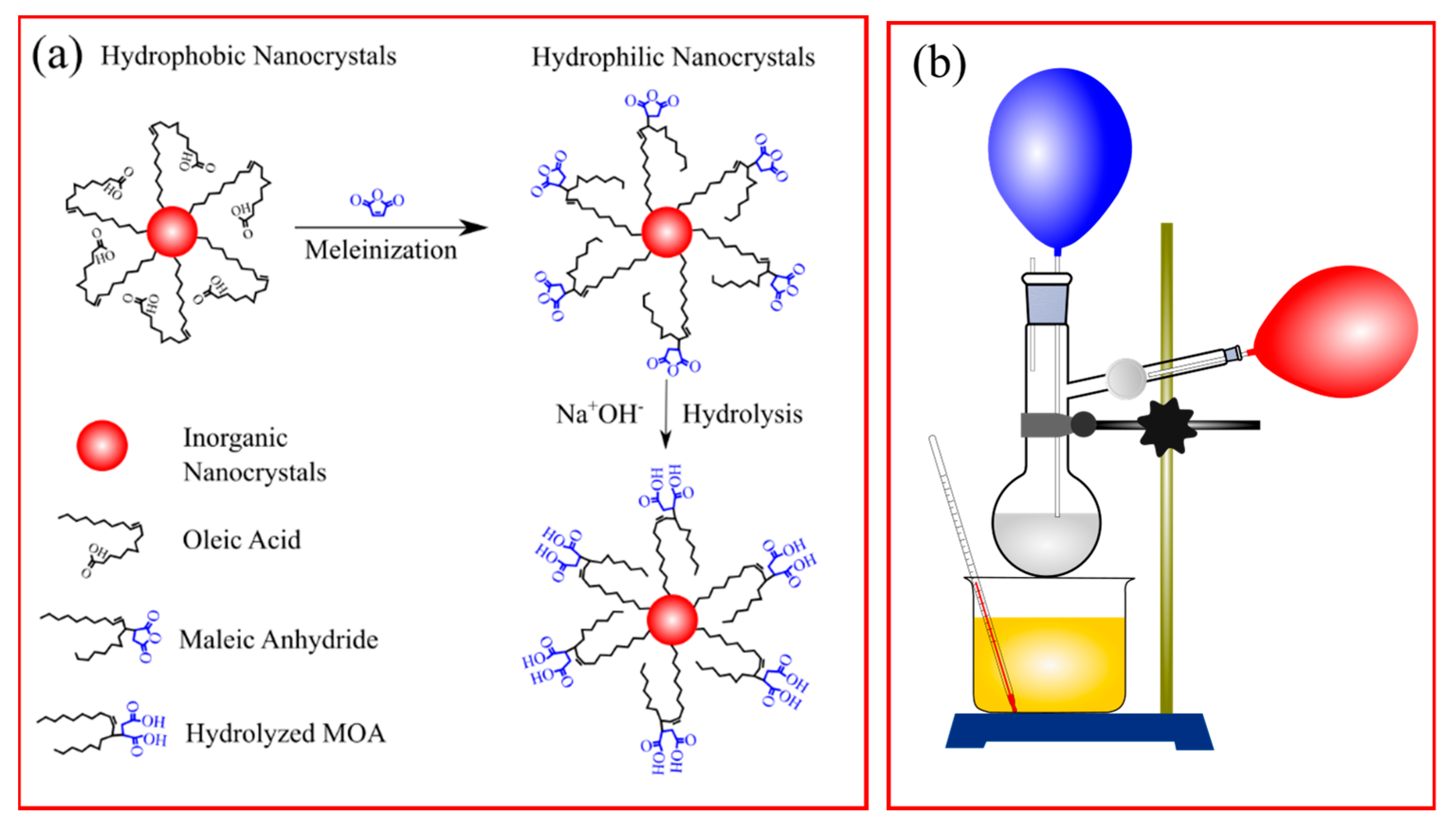 Molecules 26 01041 g007
