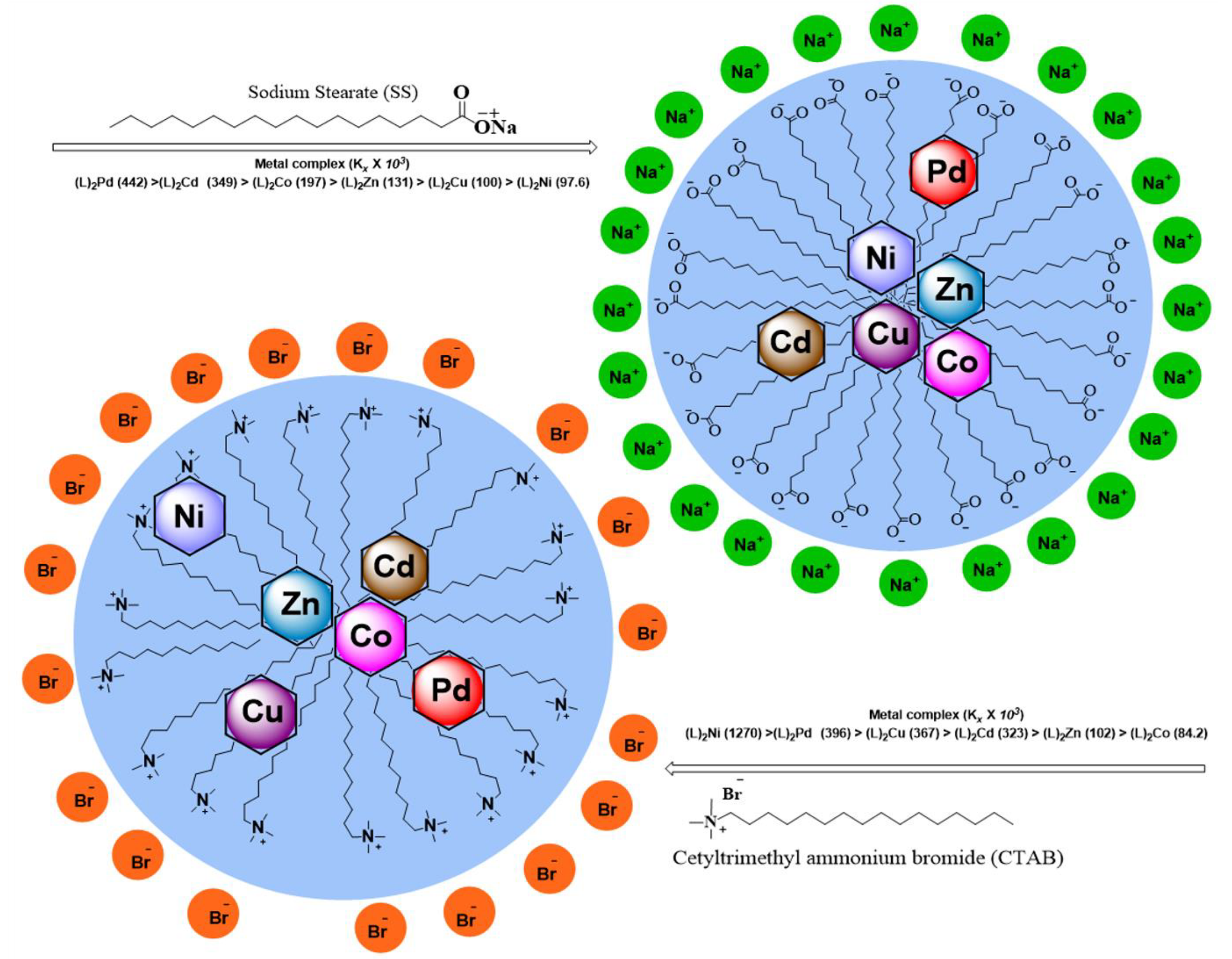 Molecules 26 01044 g006 Molecules 26 01044 g006