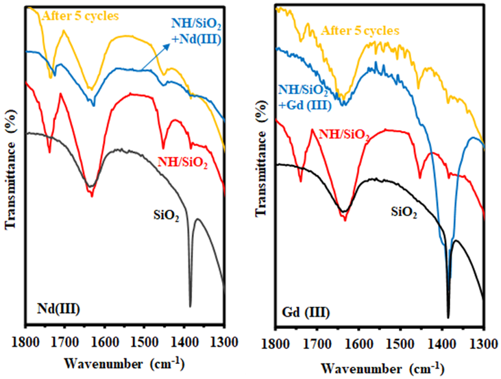 Molecules 26 01049 g002 Molecules 26 01049 g002