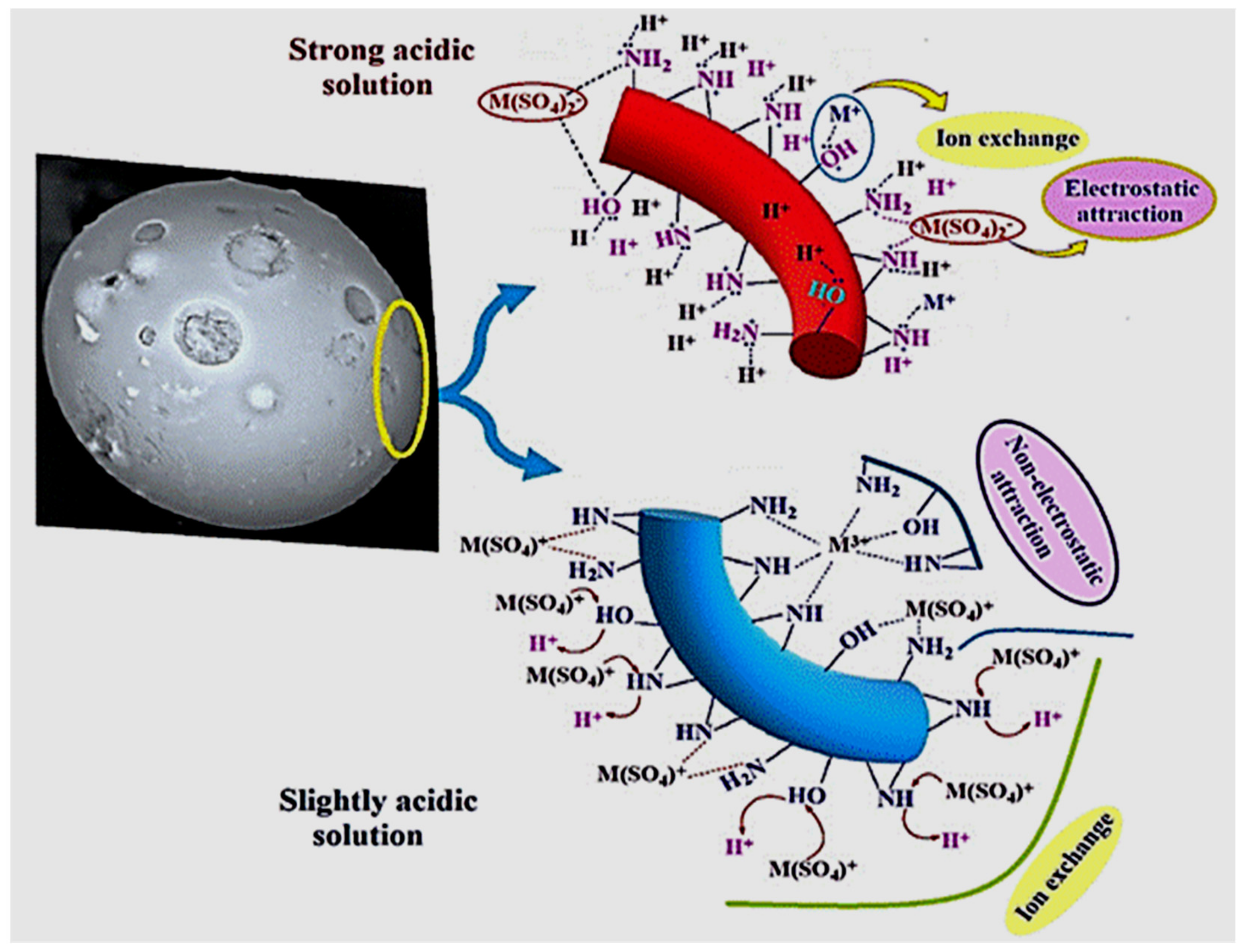 Molecules 26 01049 g006 Molecules 26 01049 g006