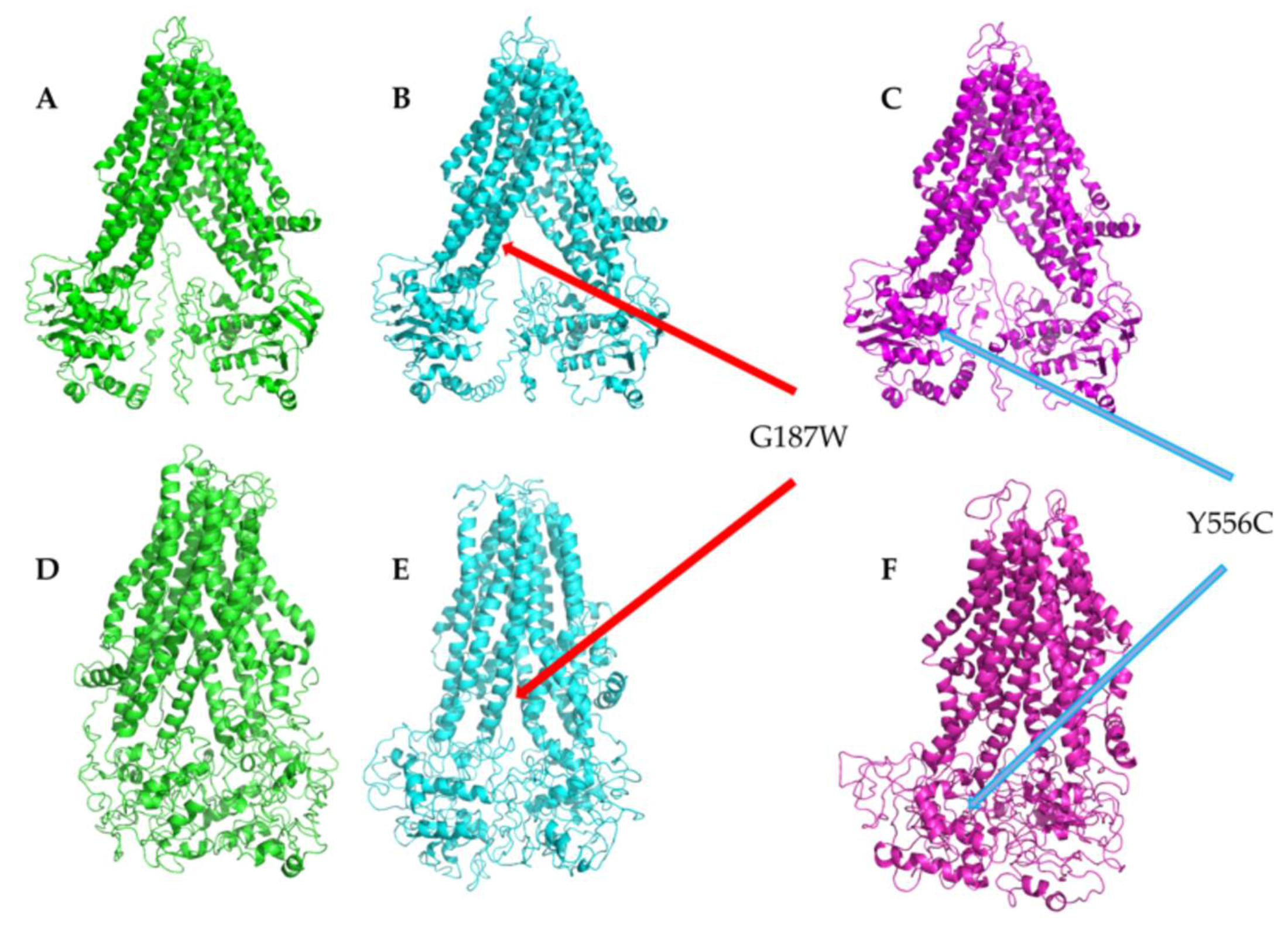 Molecules 26 01051 g002