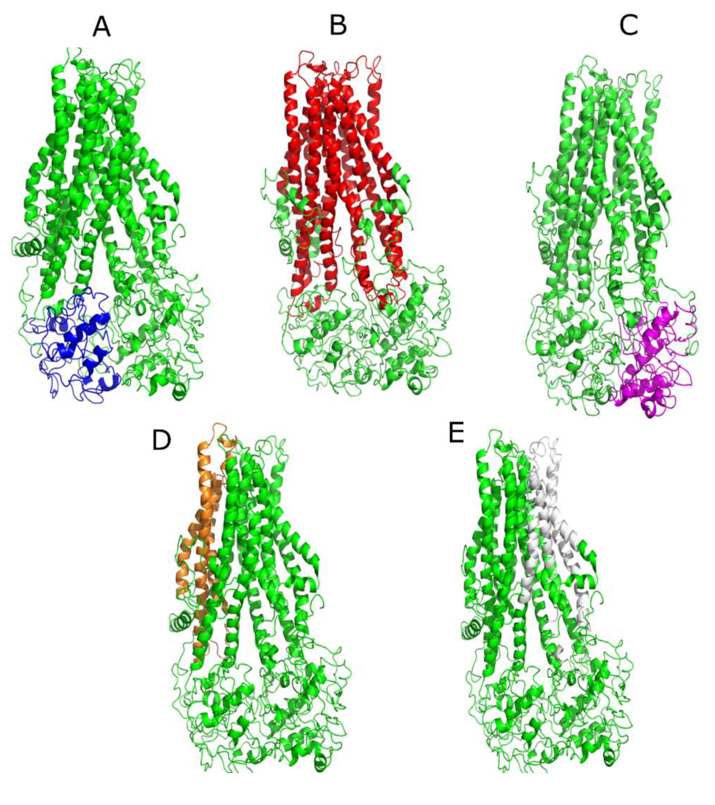 Molecules 26 01051 g003