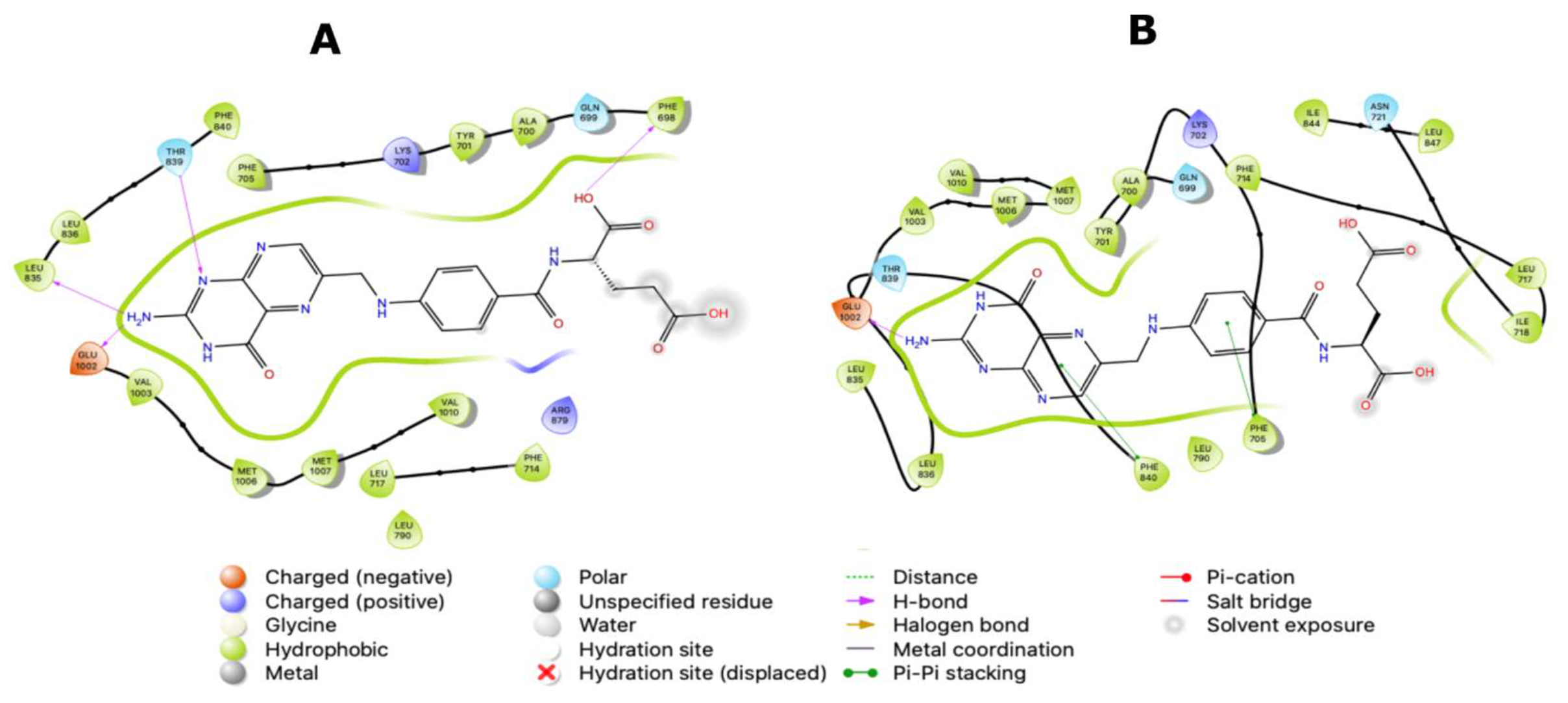 Molecules 26 01051 g008